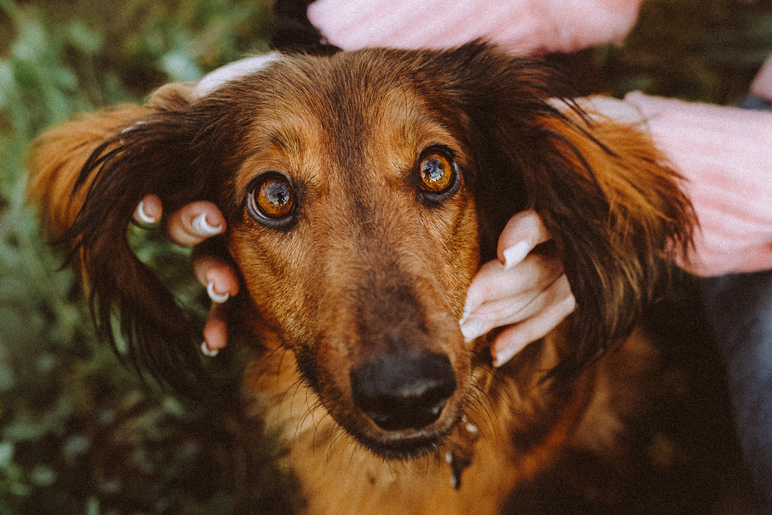 Джаз, Остин и их семья