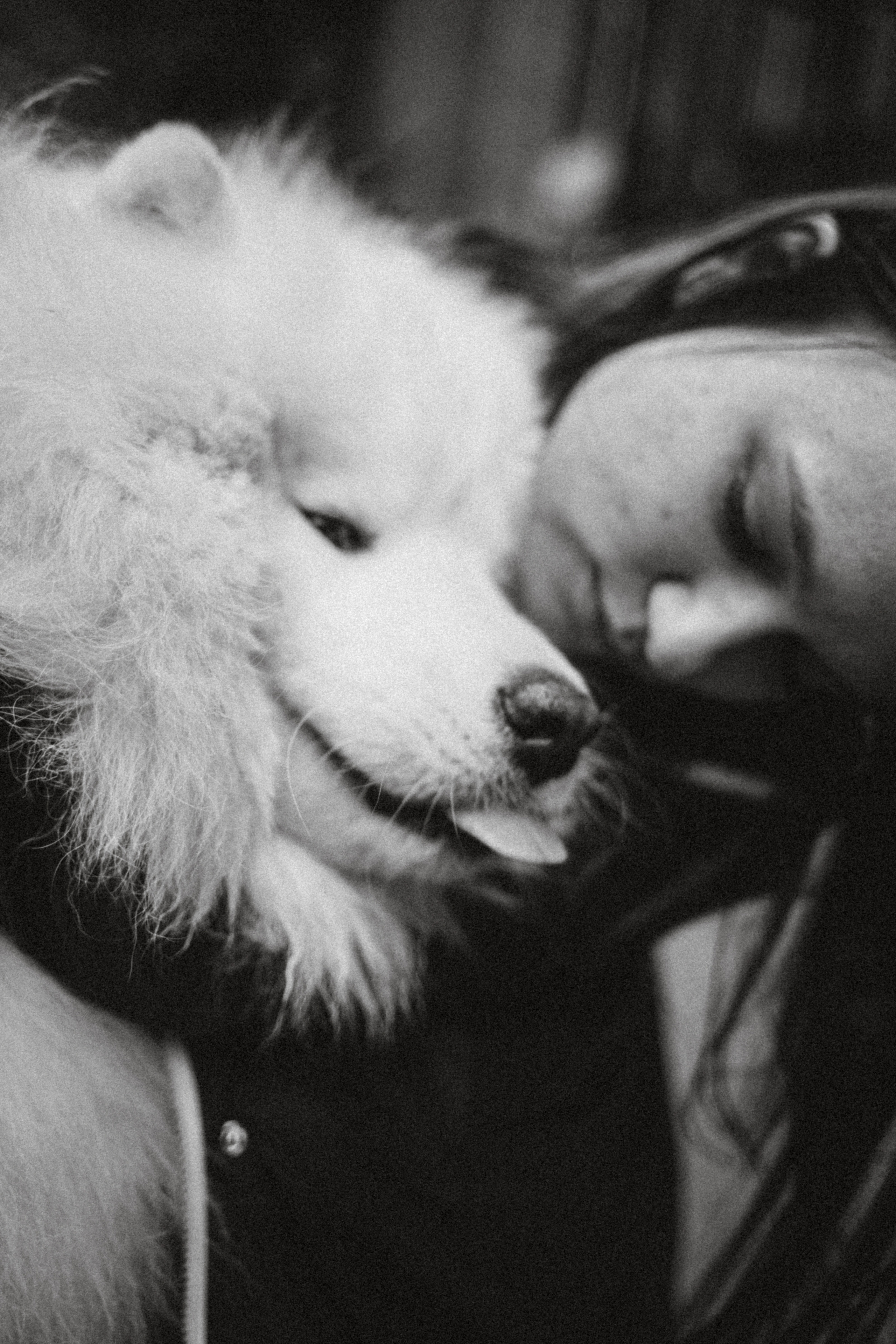 Вика и Балу