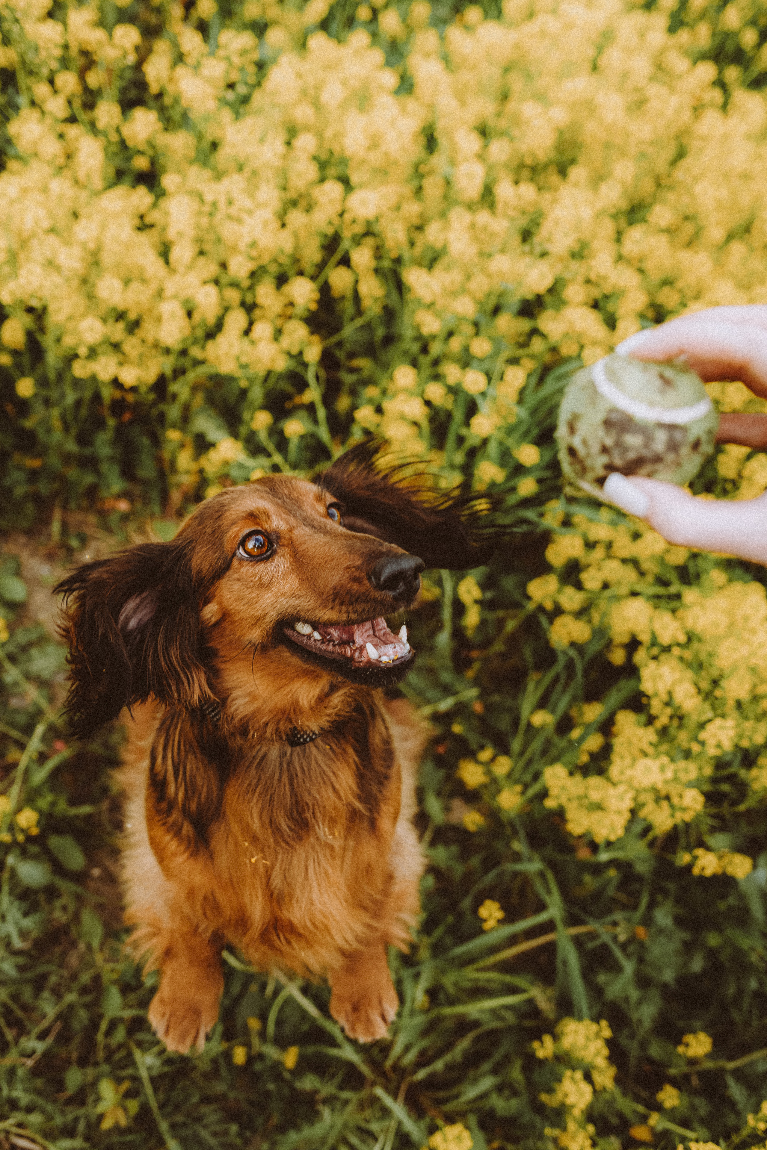 Джаз, Остин и их семья
