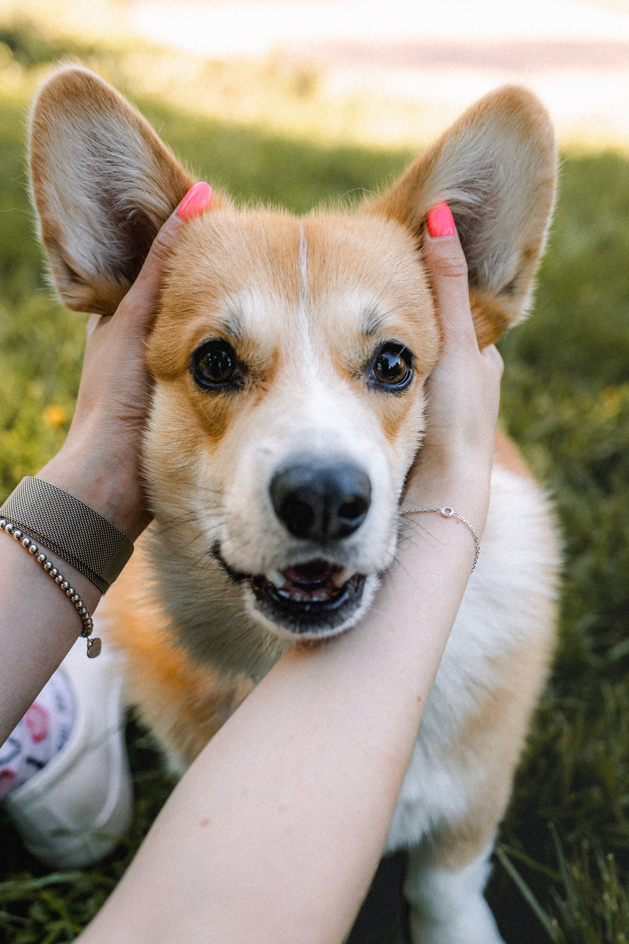 Вика, Глеб и Бадди
