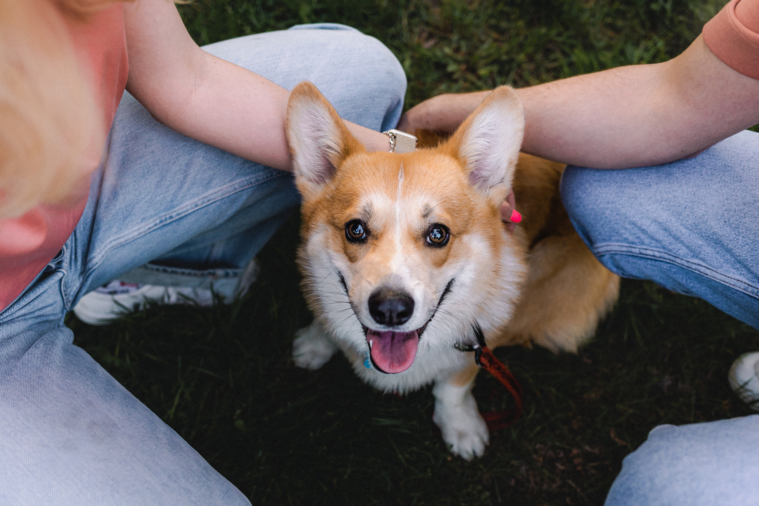 Вика, Глеб и Бадди