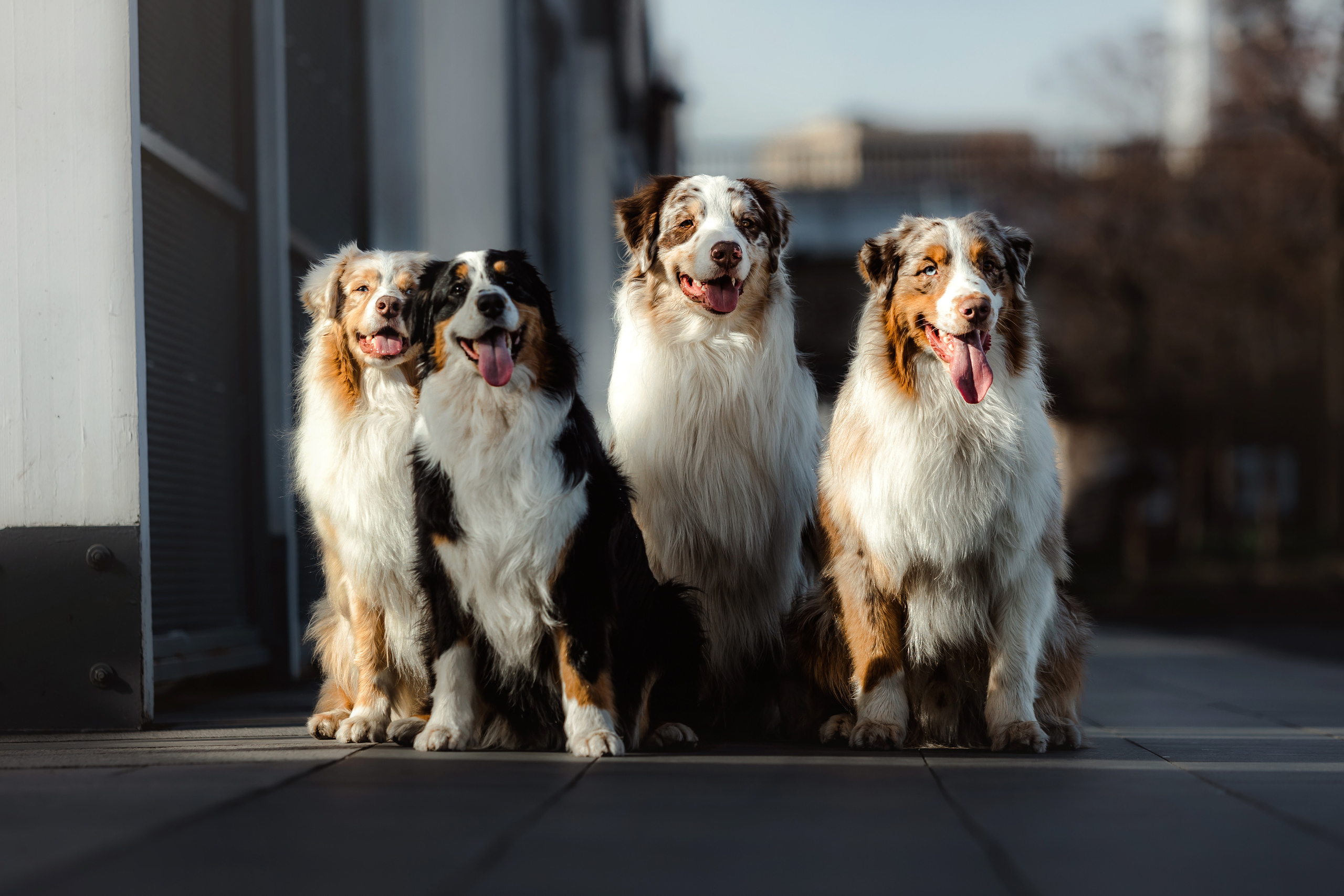 Маша и ее семья