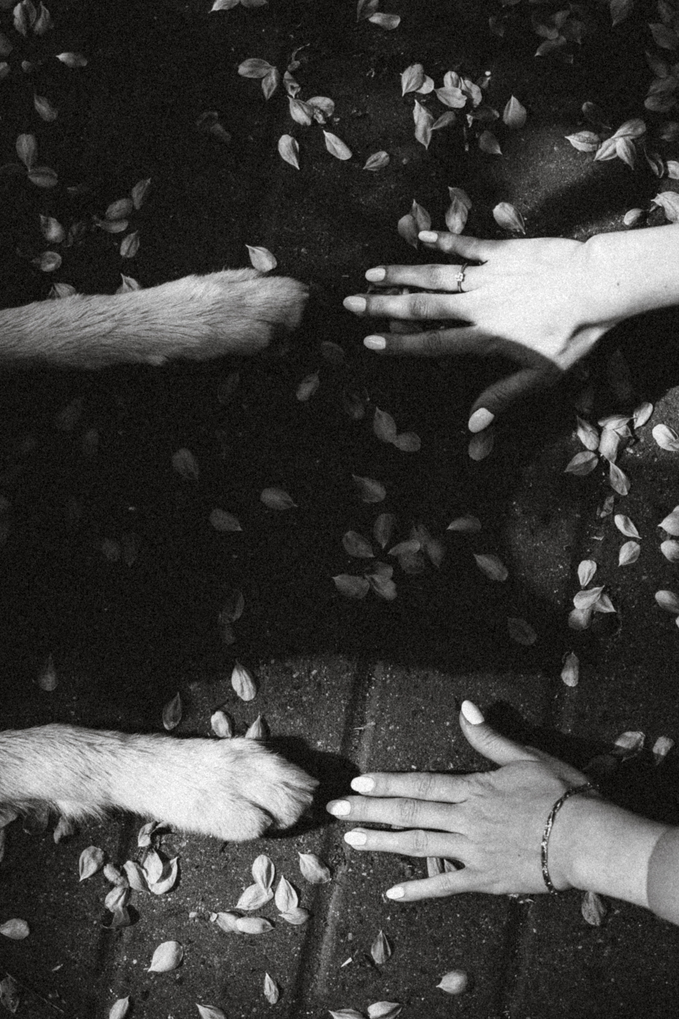 Ксюша, Андрей и Юки