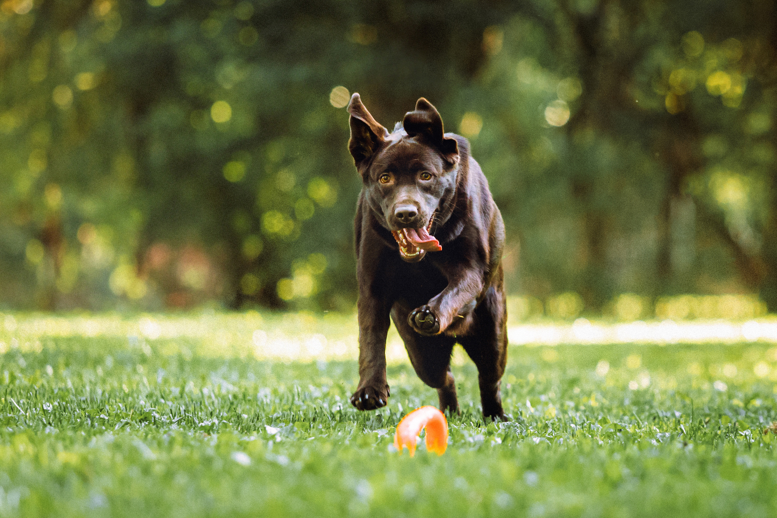 Яна и Джерри