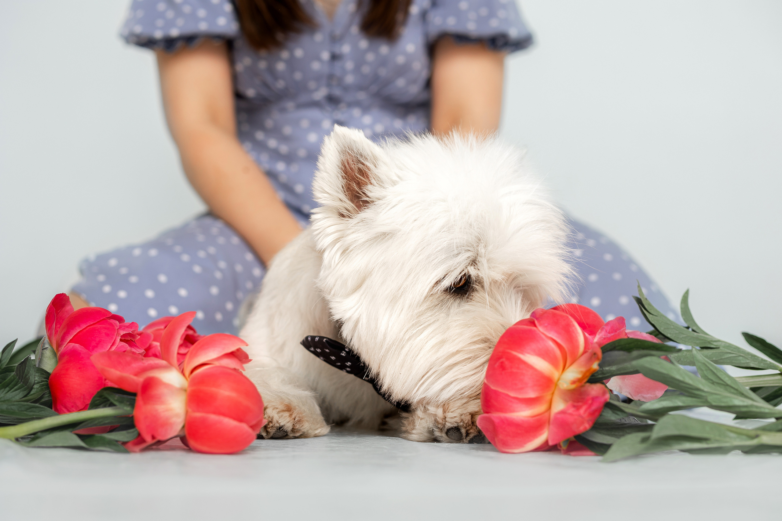 Вера и Бакс