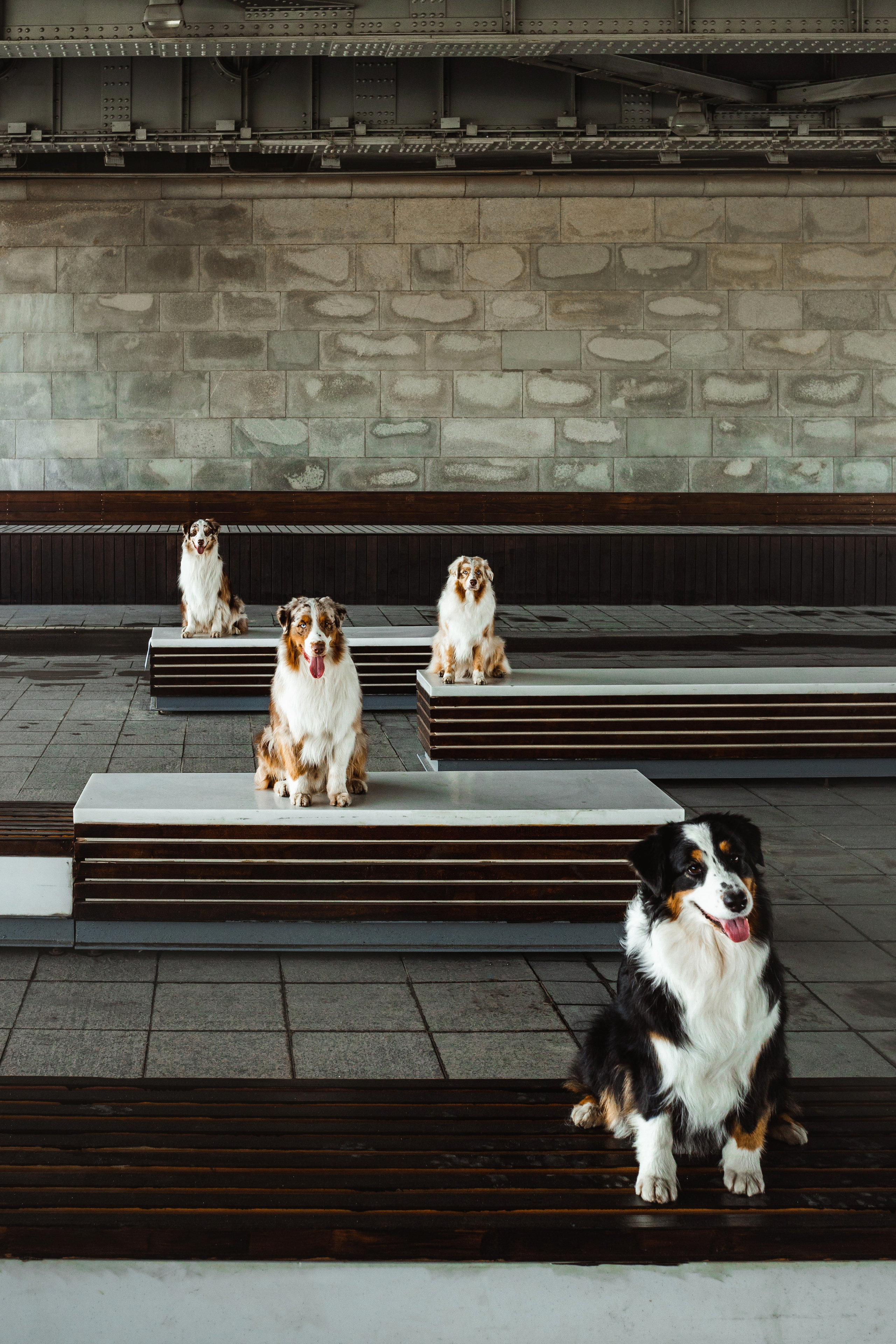 Маша и ее семья