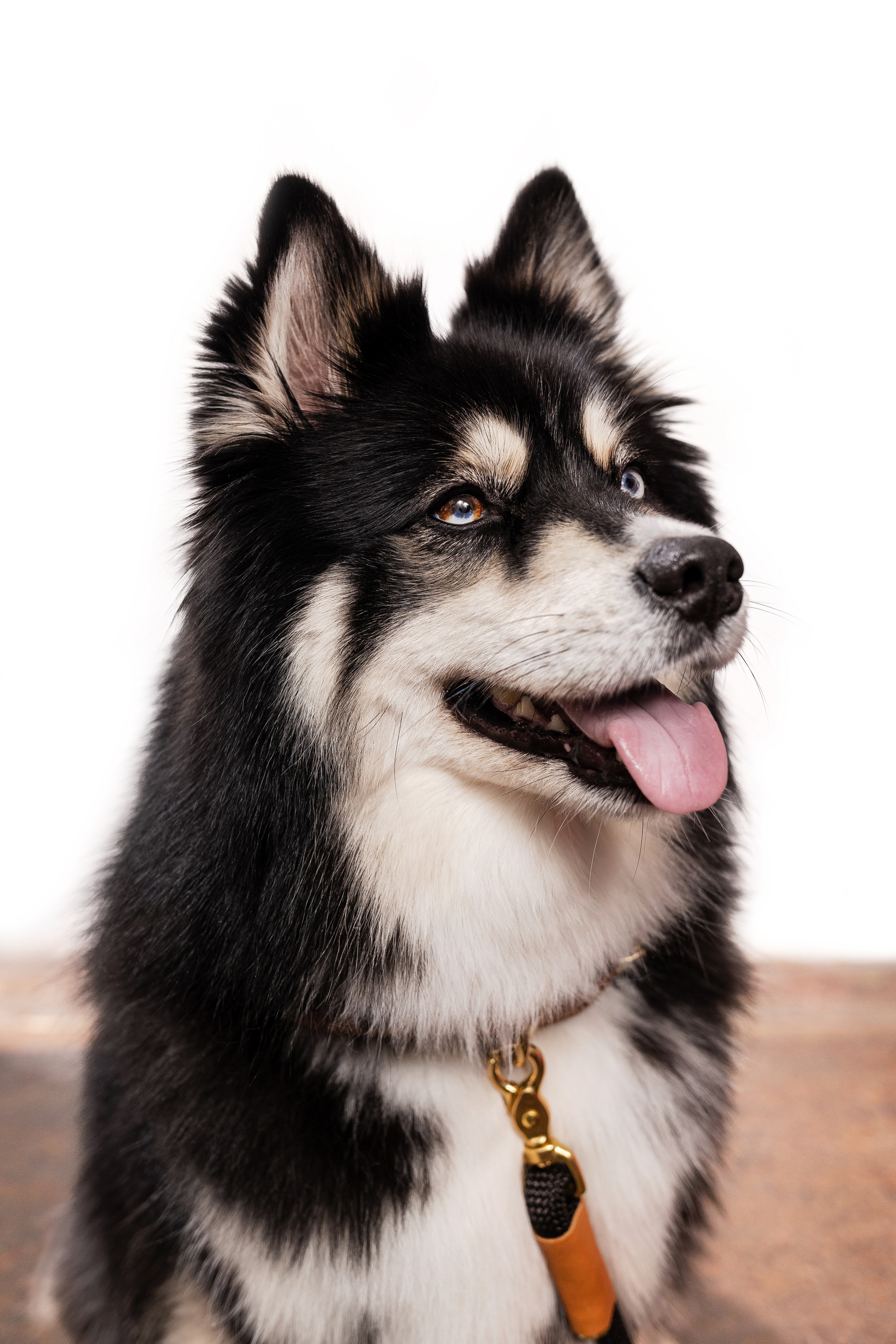 Съемка для MGM