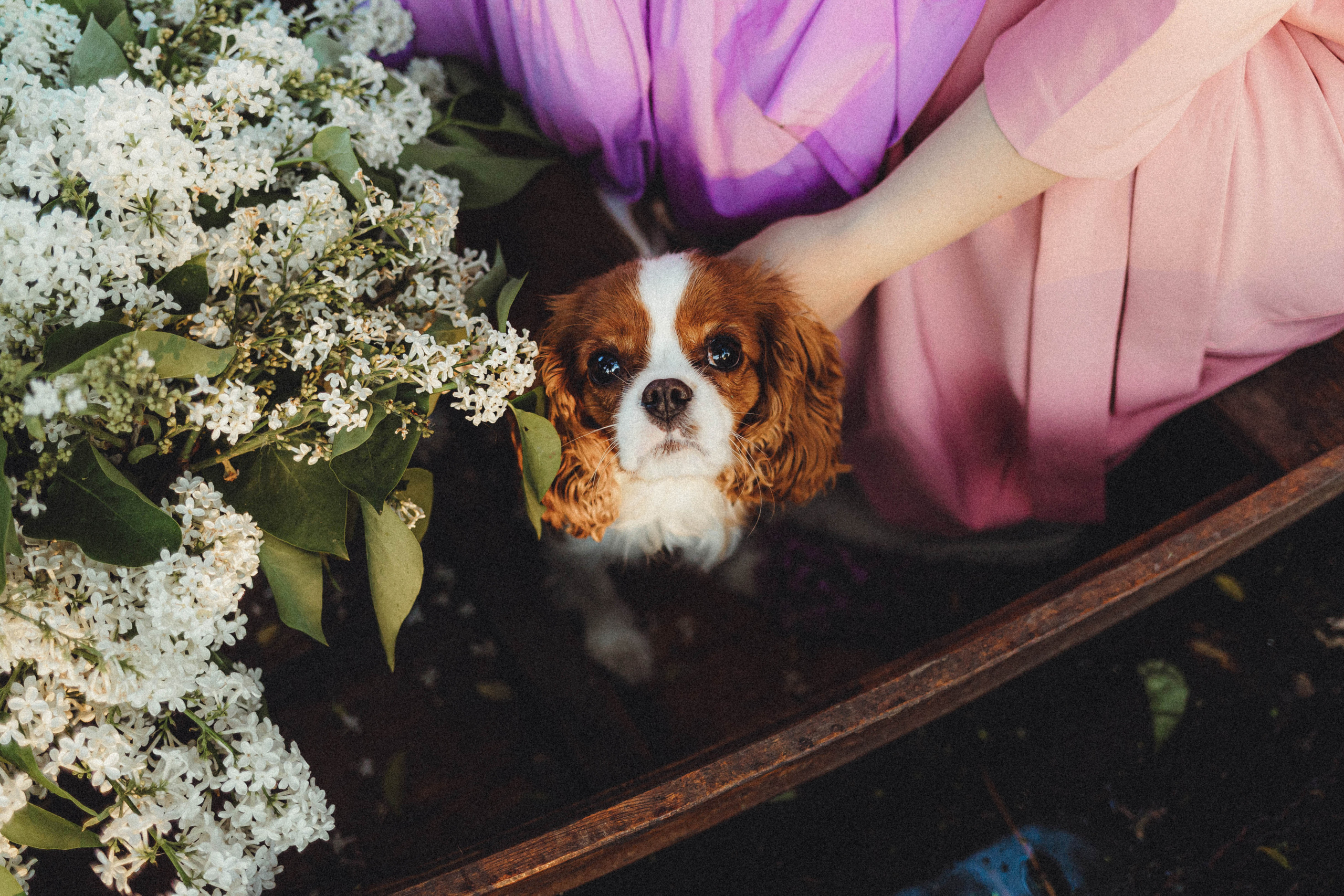 Валя, Аня и Ириска