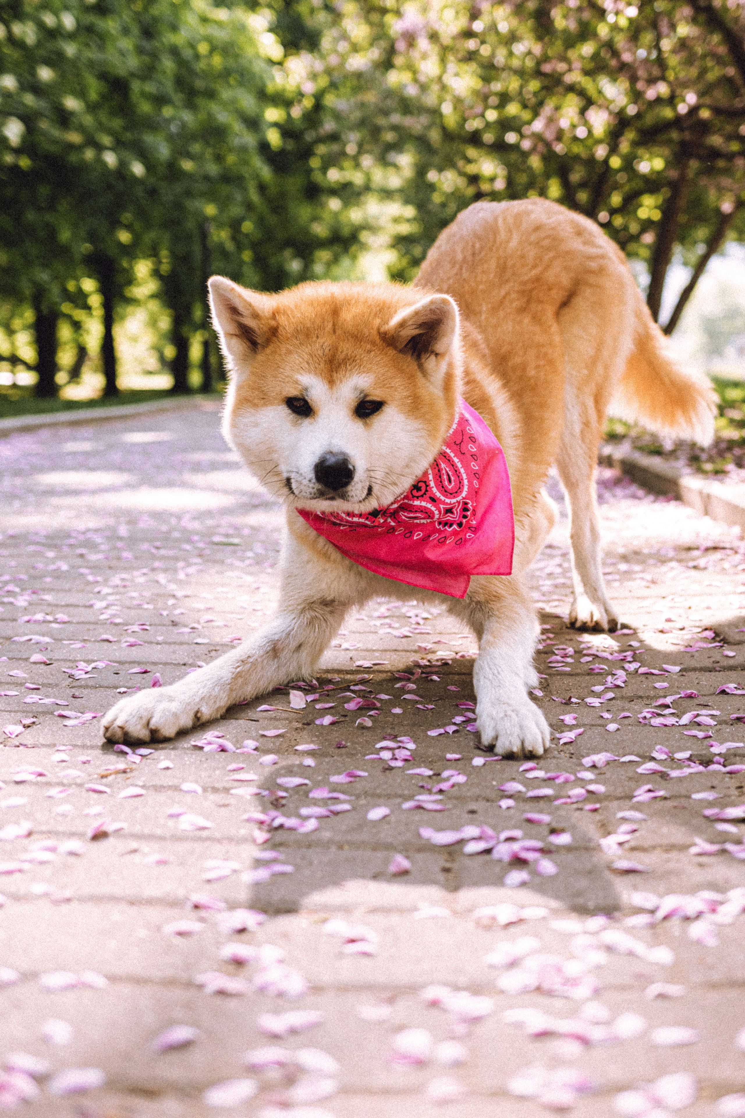 Ксюша, Андрей и Юки