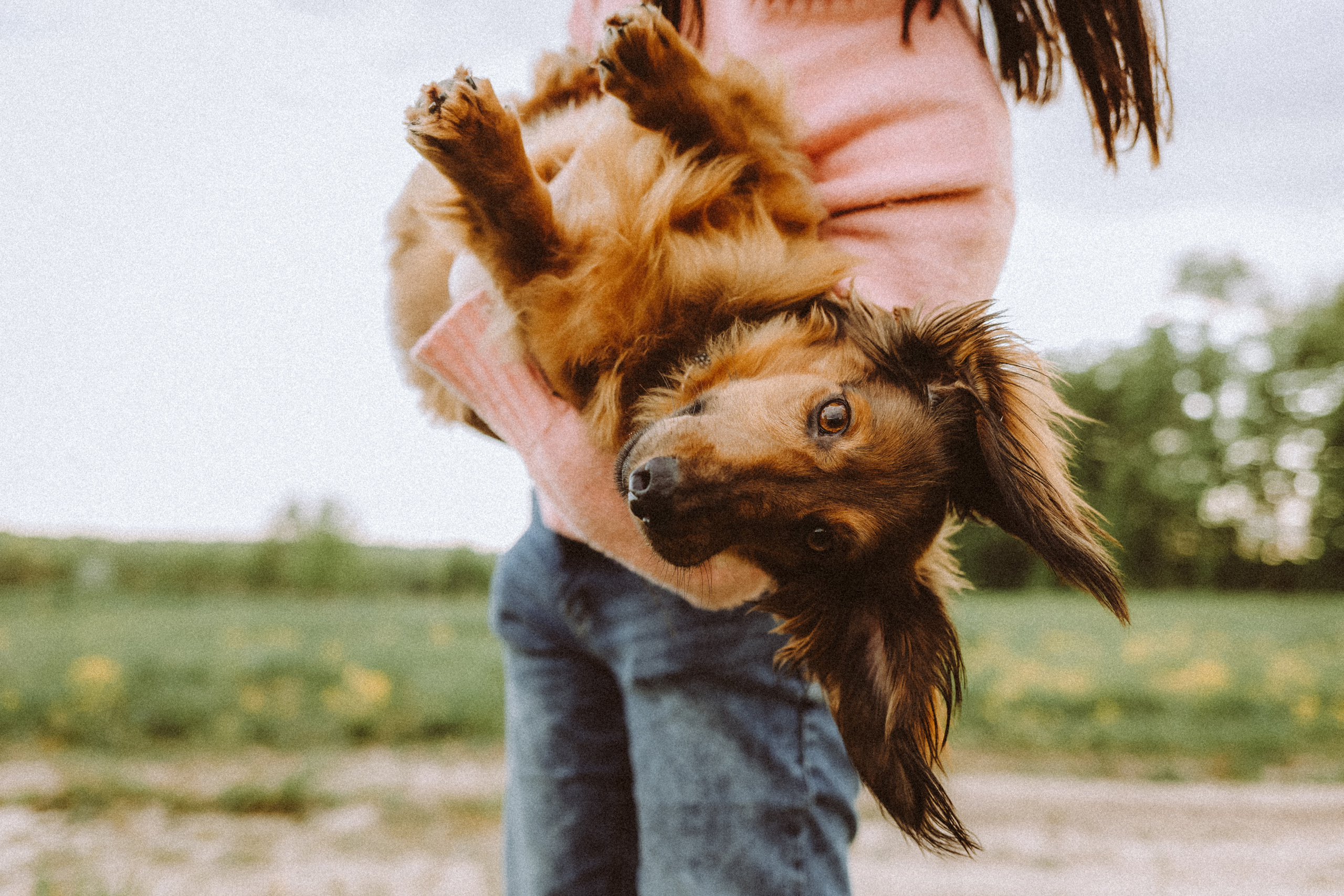 Джаз, Остин и их семья