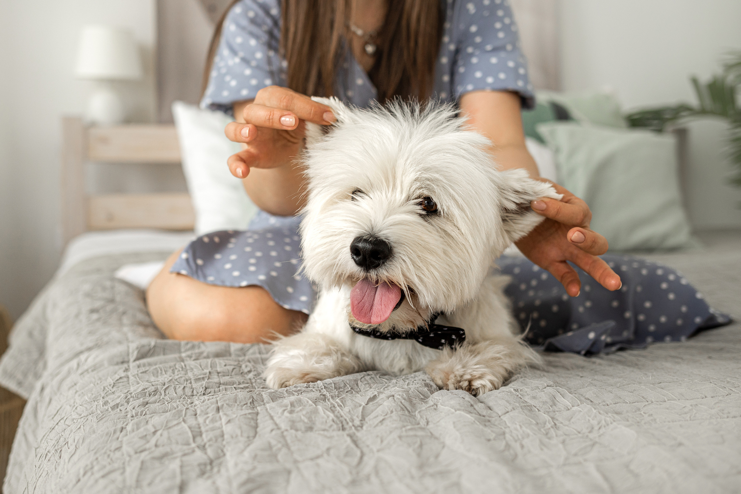 Вера и Бакс