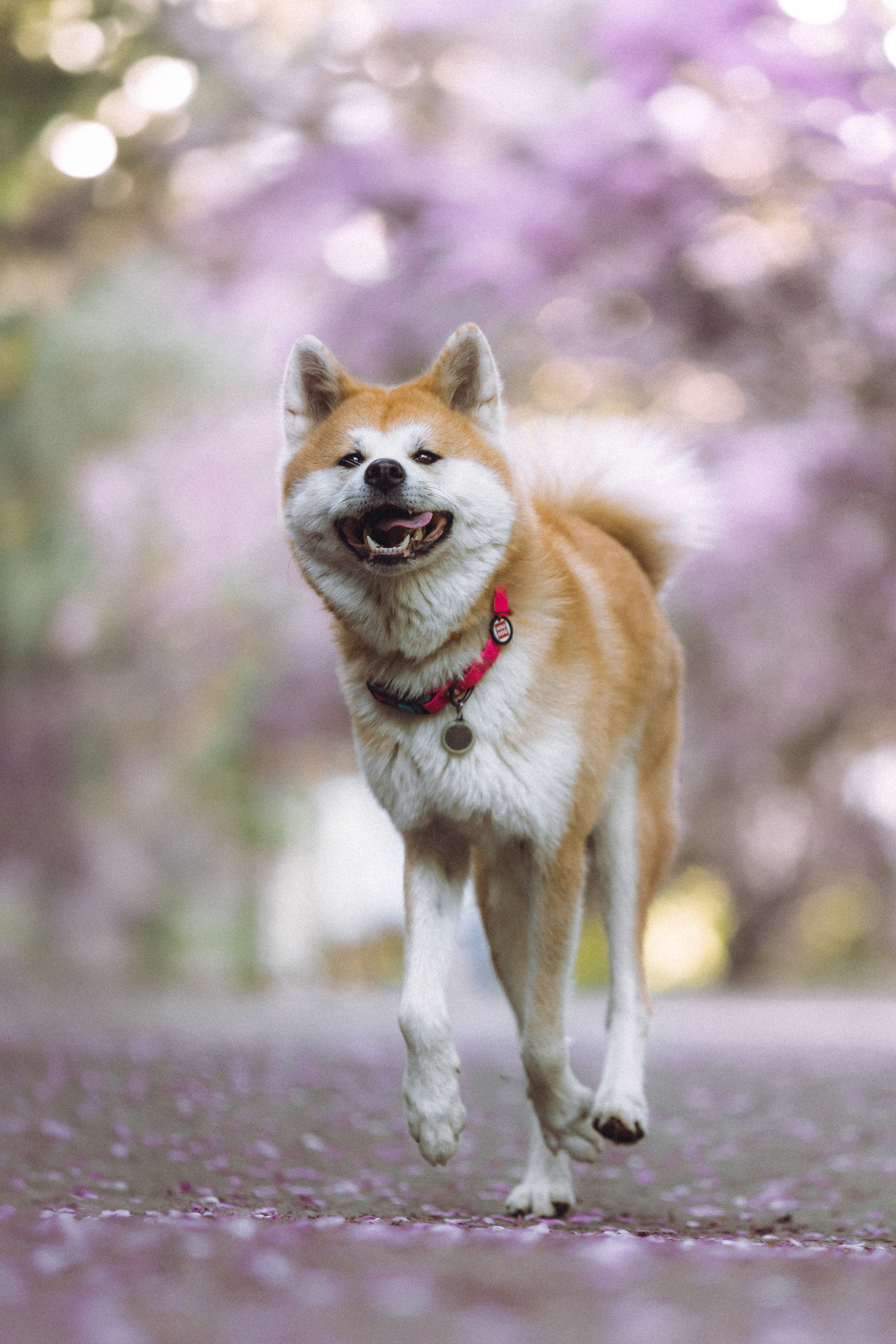 Ксюша, Андрей и Юки