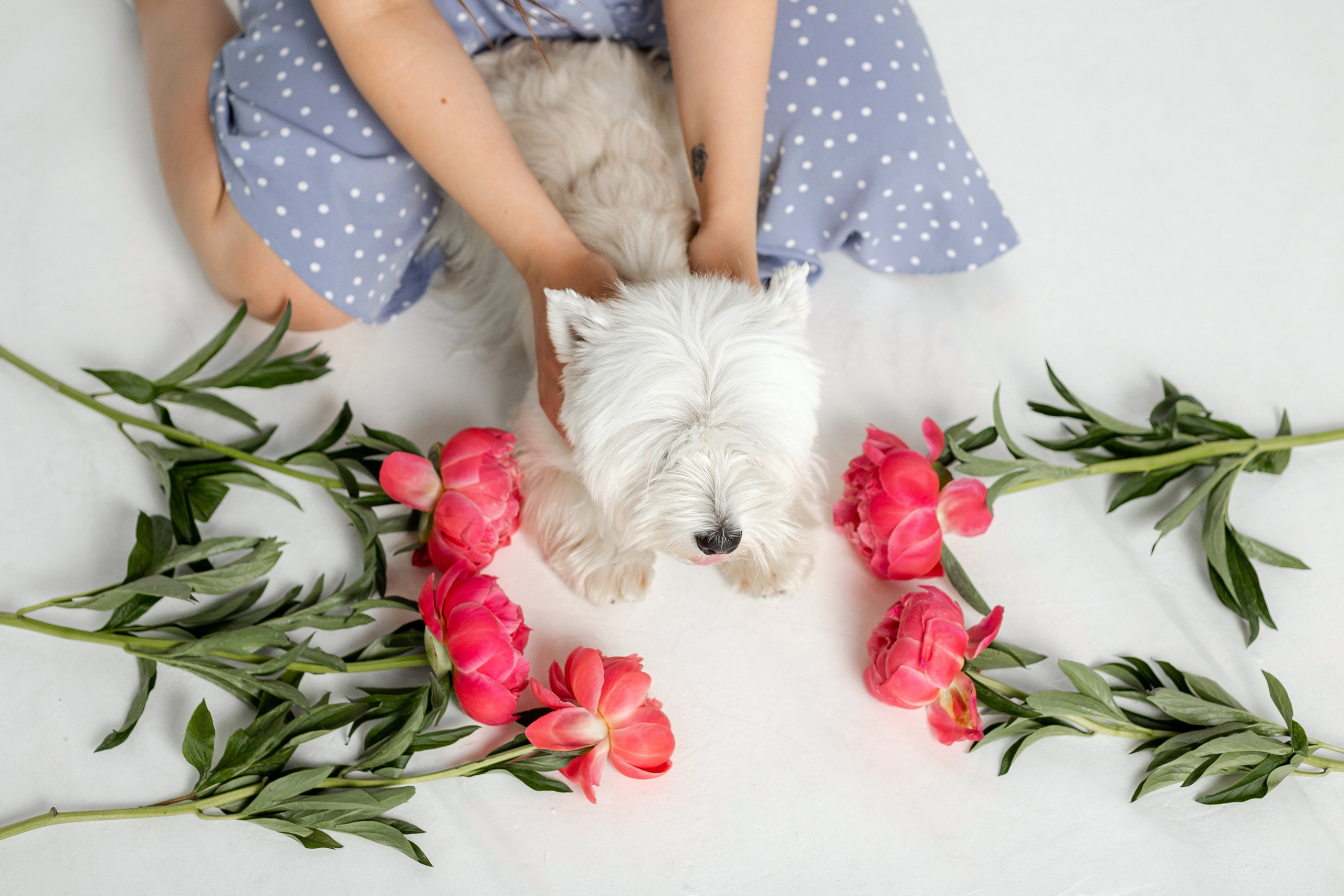 Вера и Бакс