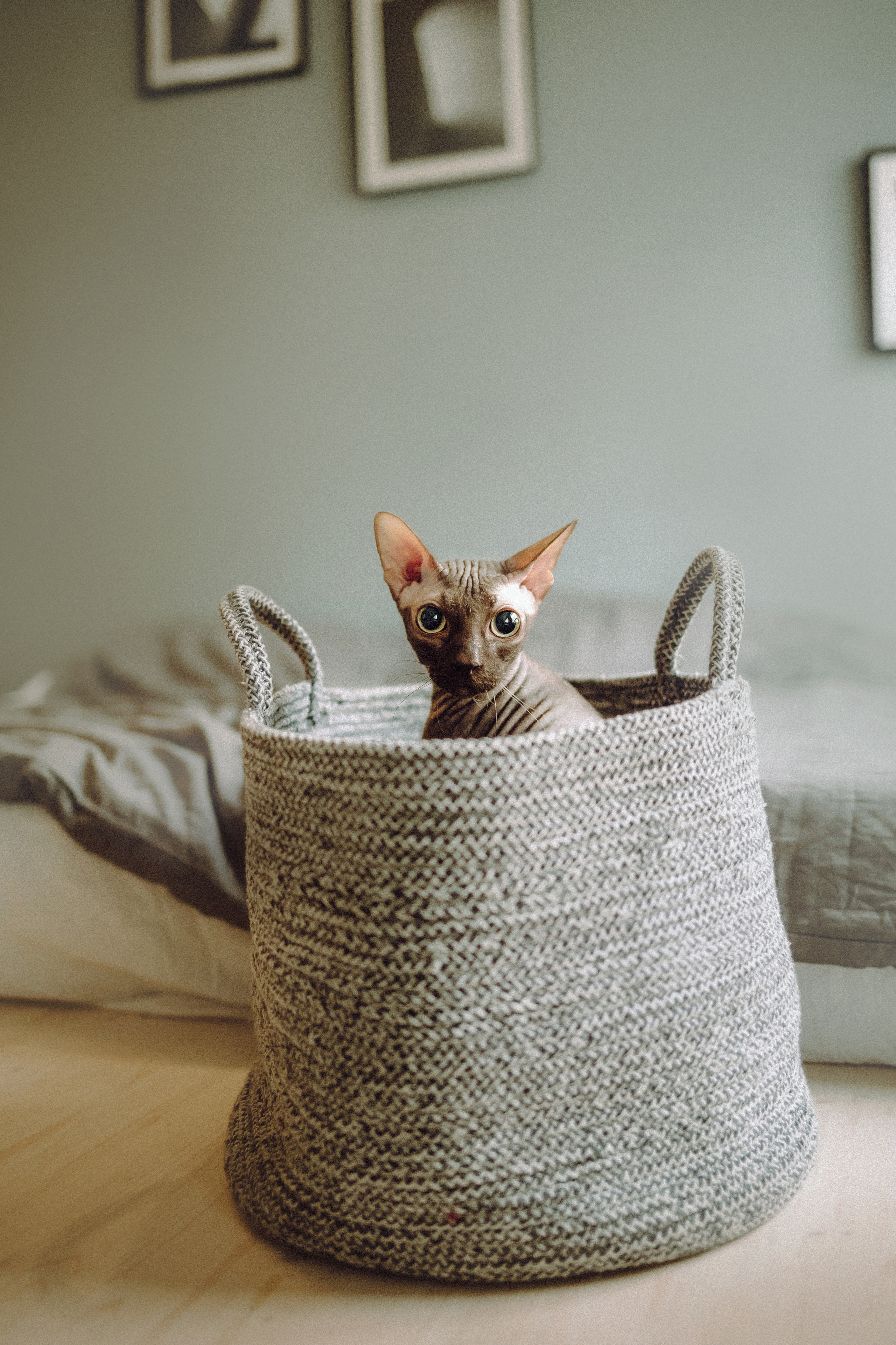 Марк, Челси, Маша и их семья