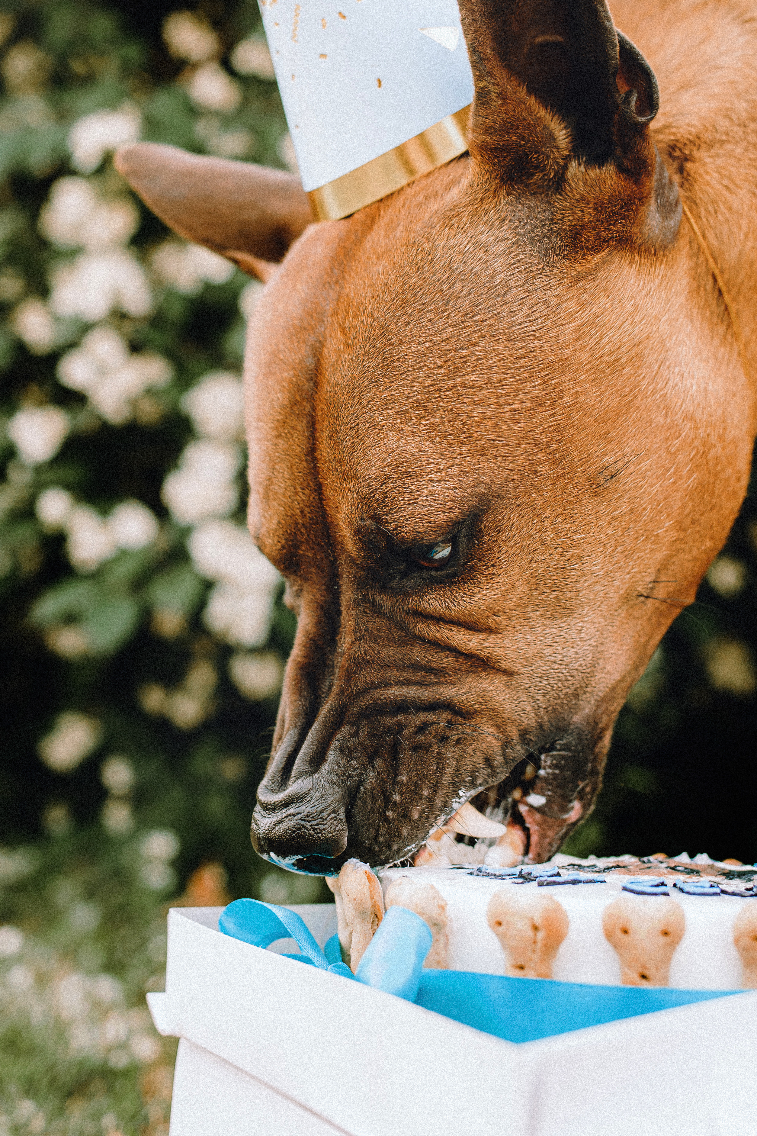 Оксана и Зевс