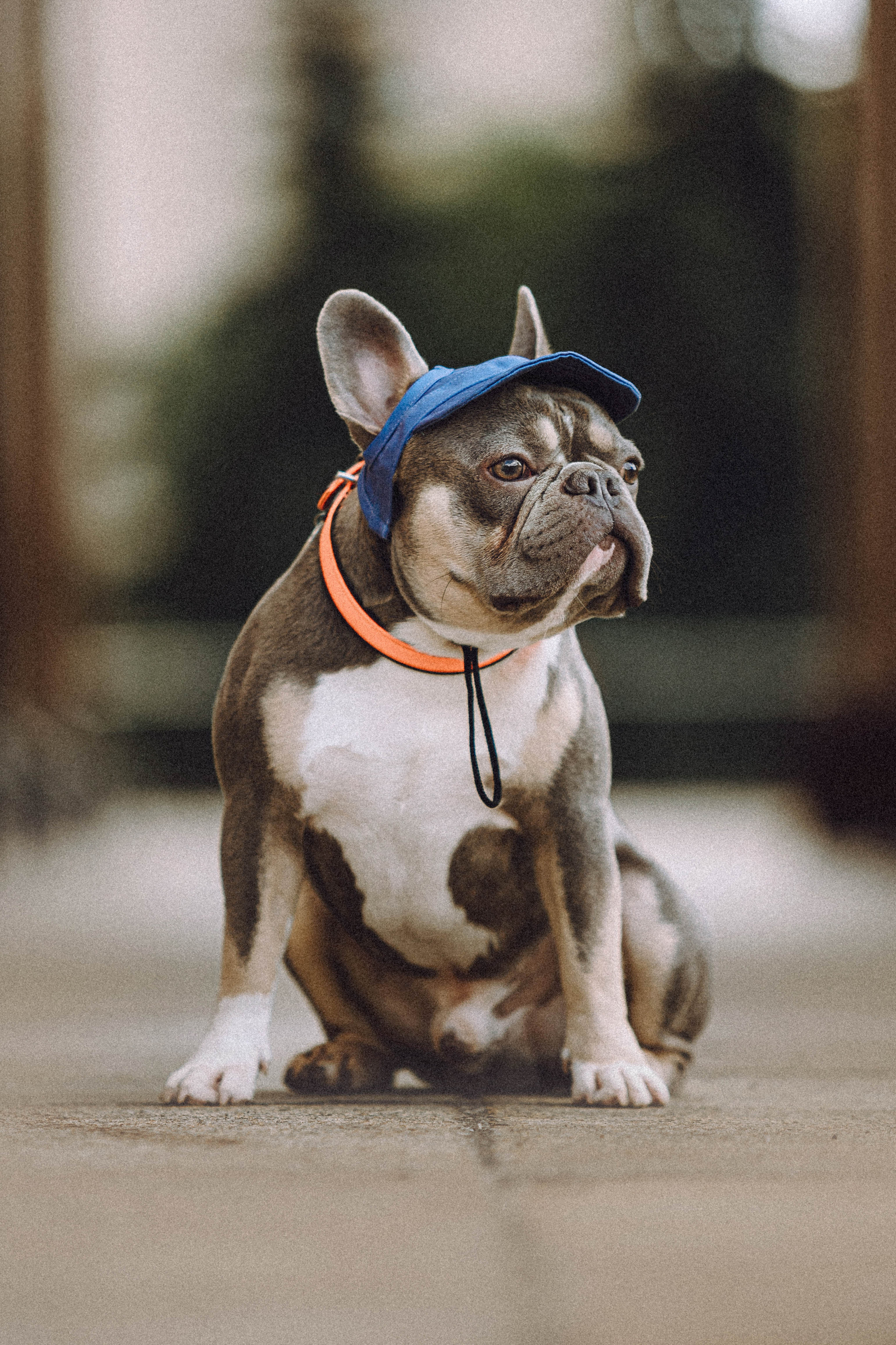 Регина, Сережа и Шелдон