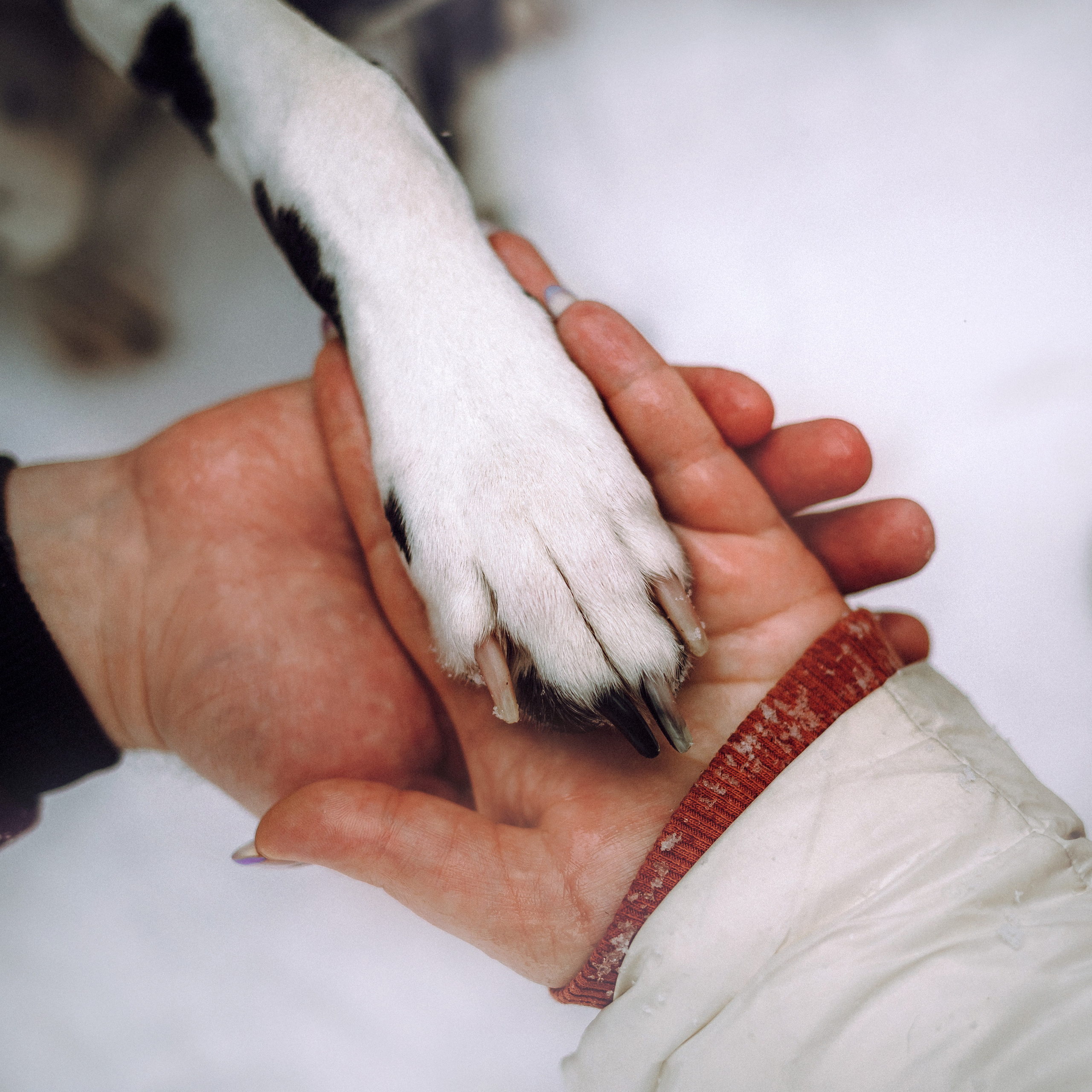 Кристина, Леша и Санта