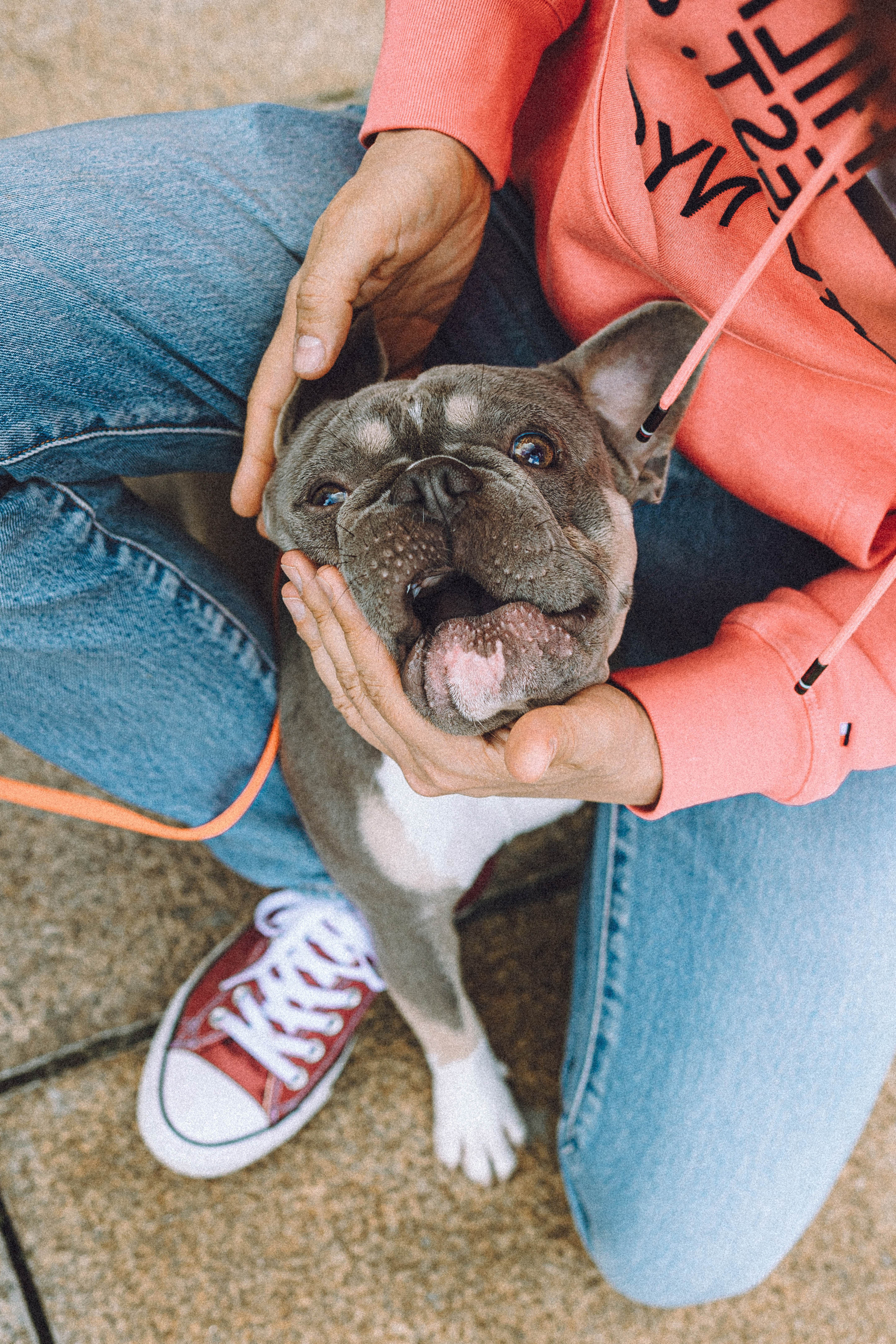 Регина, Сережа и Шелдон