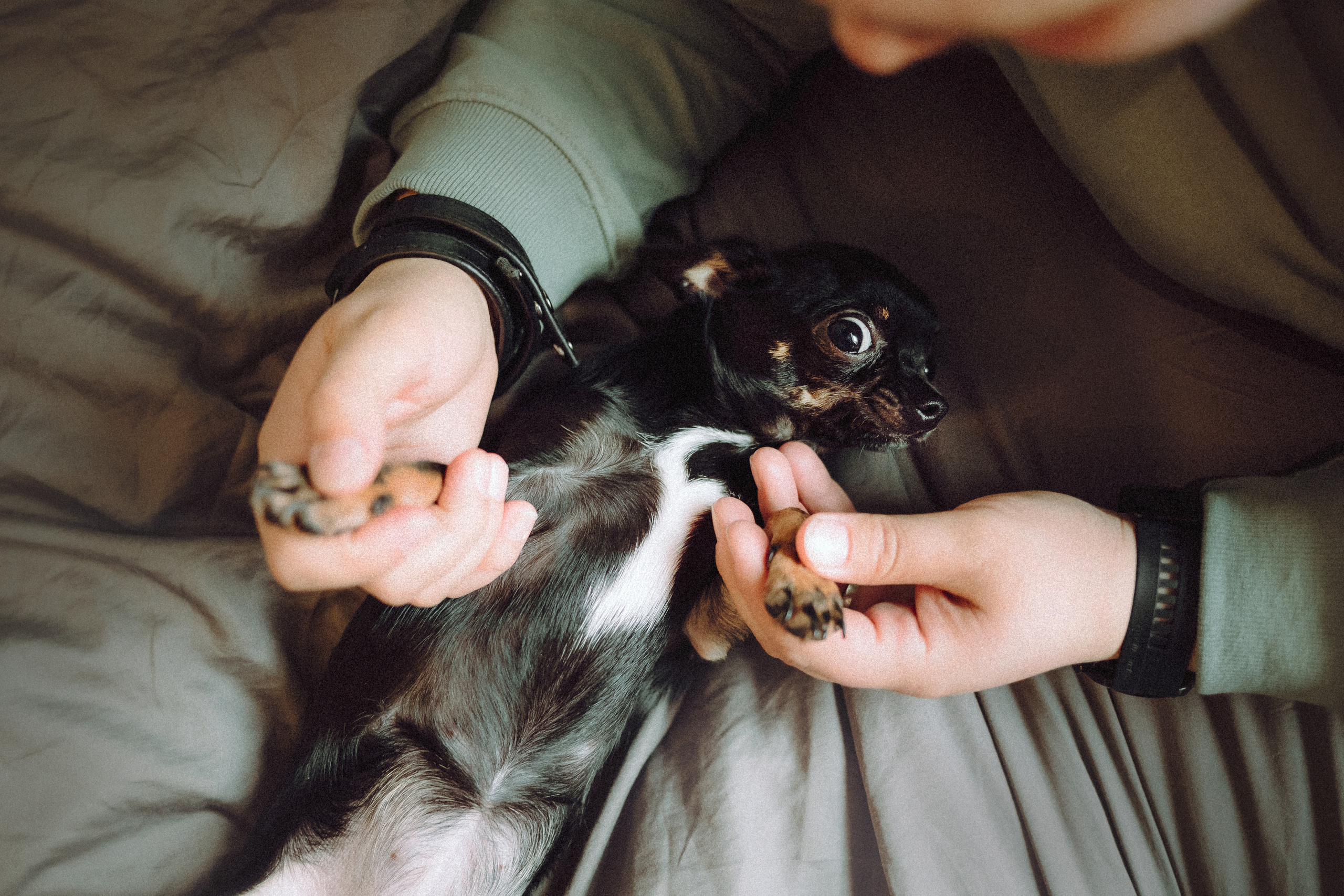 Марк, Челси, Маша и их семья