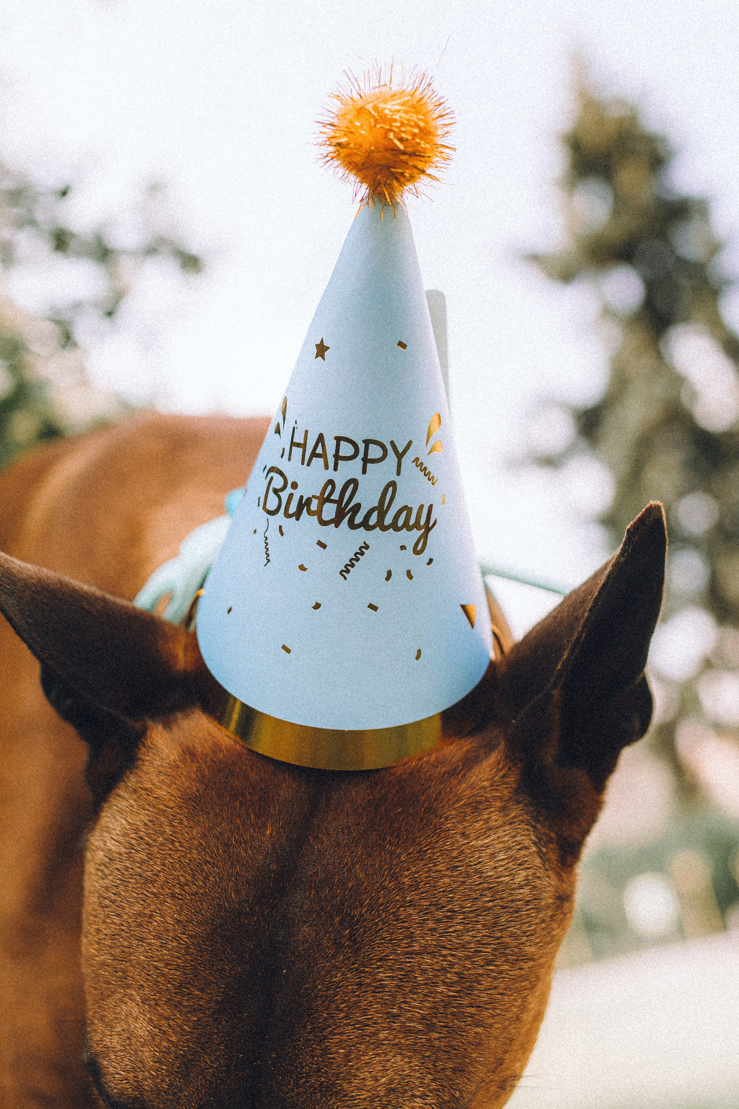 Оксана и Зевс