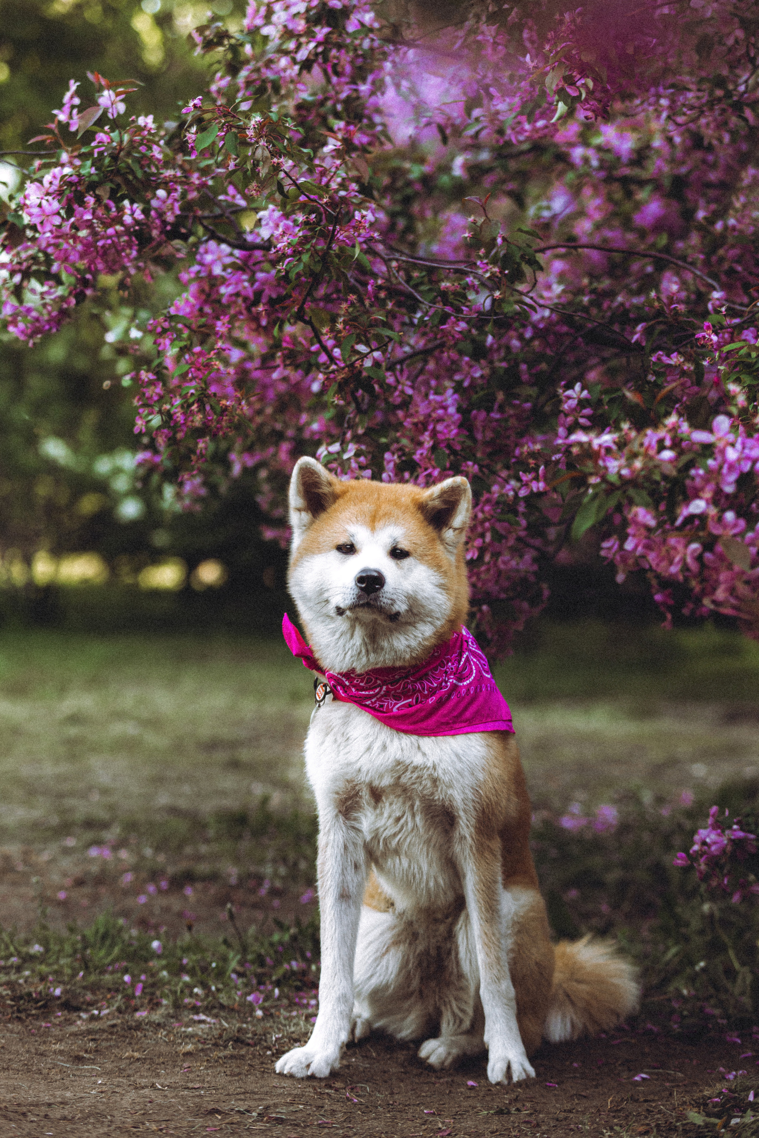 Ксюша, Андрей и Юки