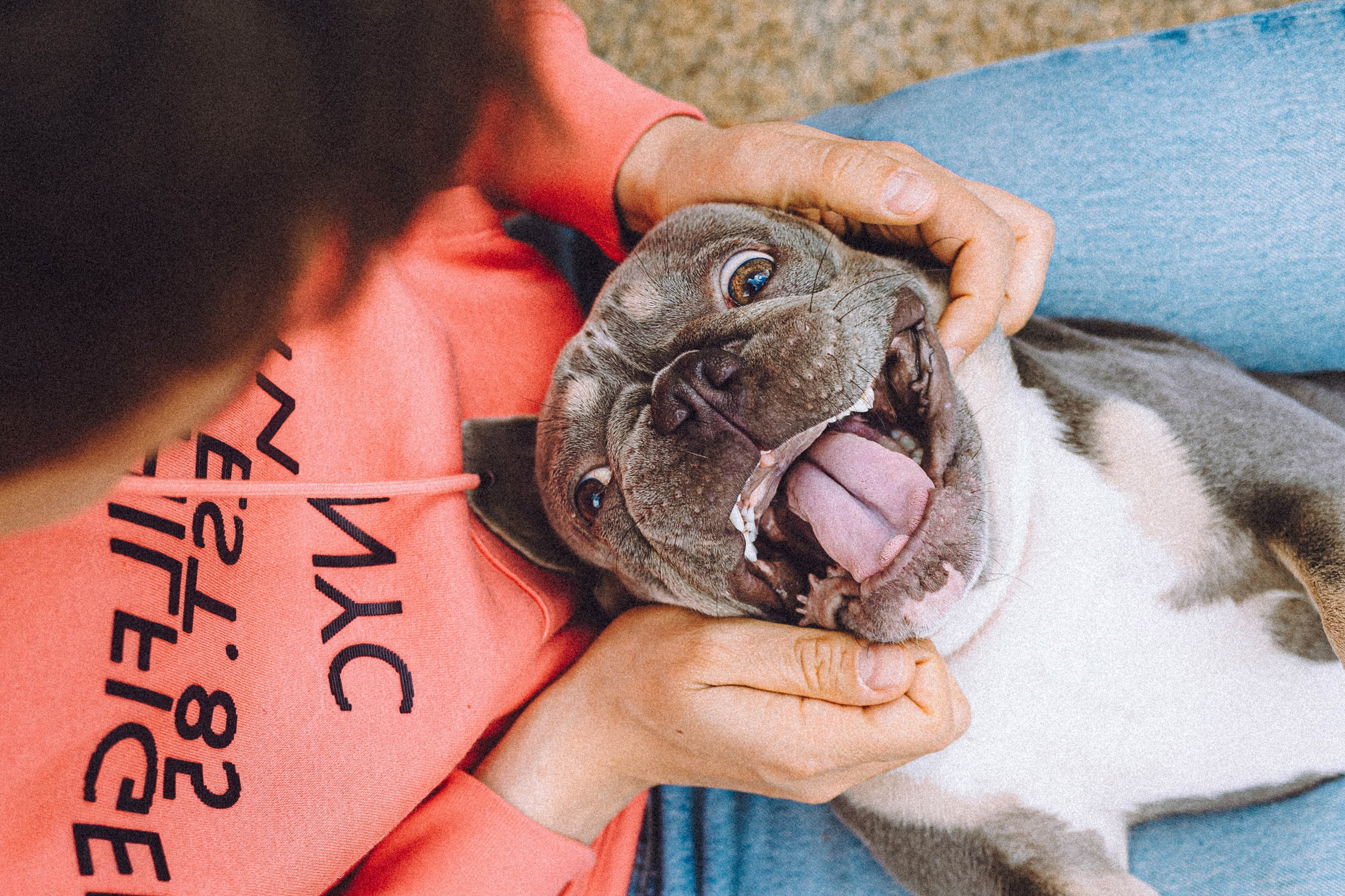 Регина, Сережа и Шелдон