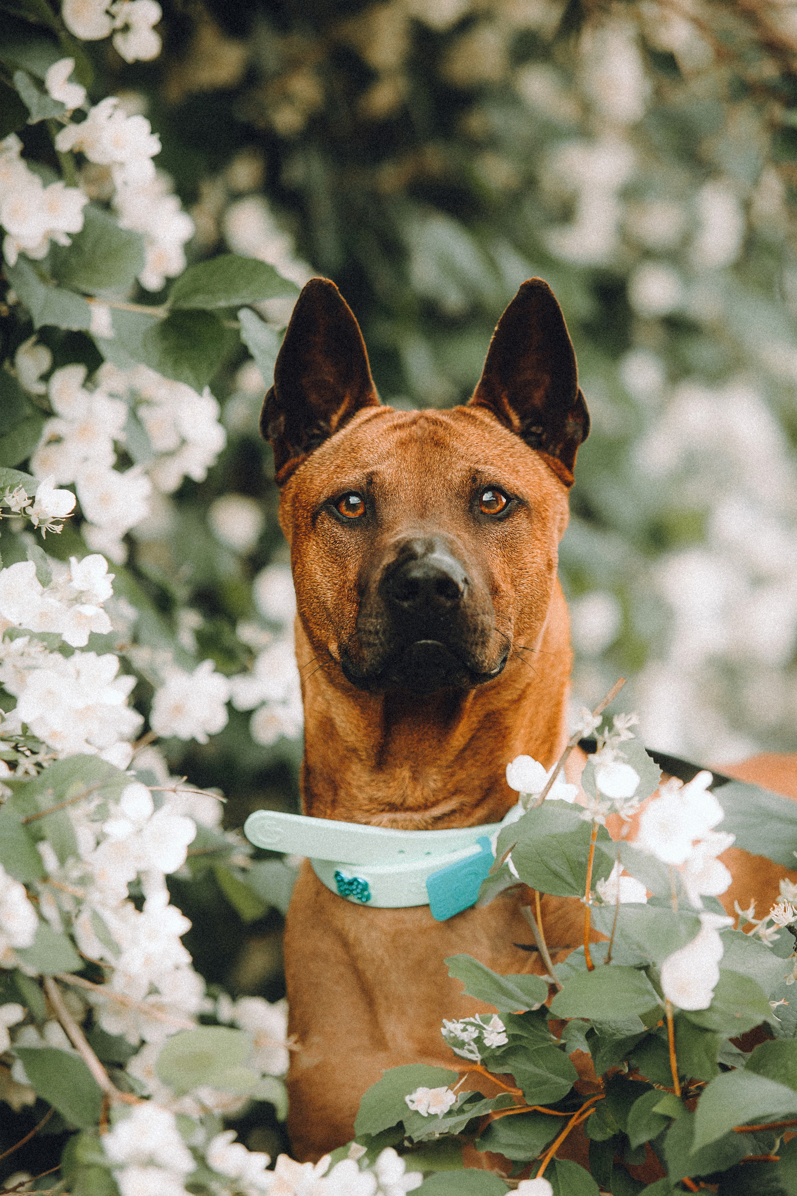 Оксана и Зевс