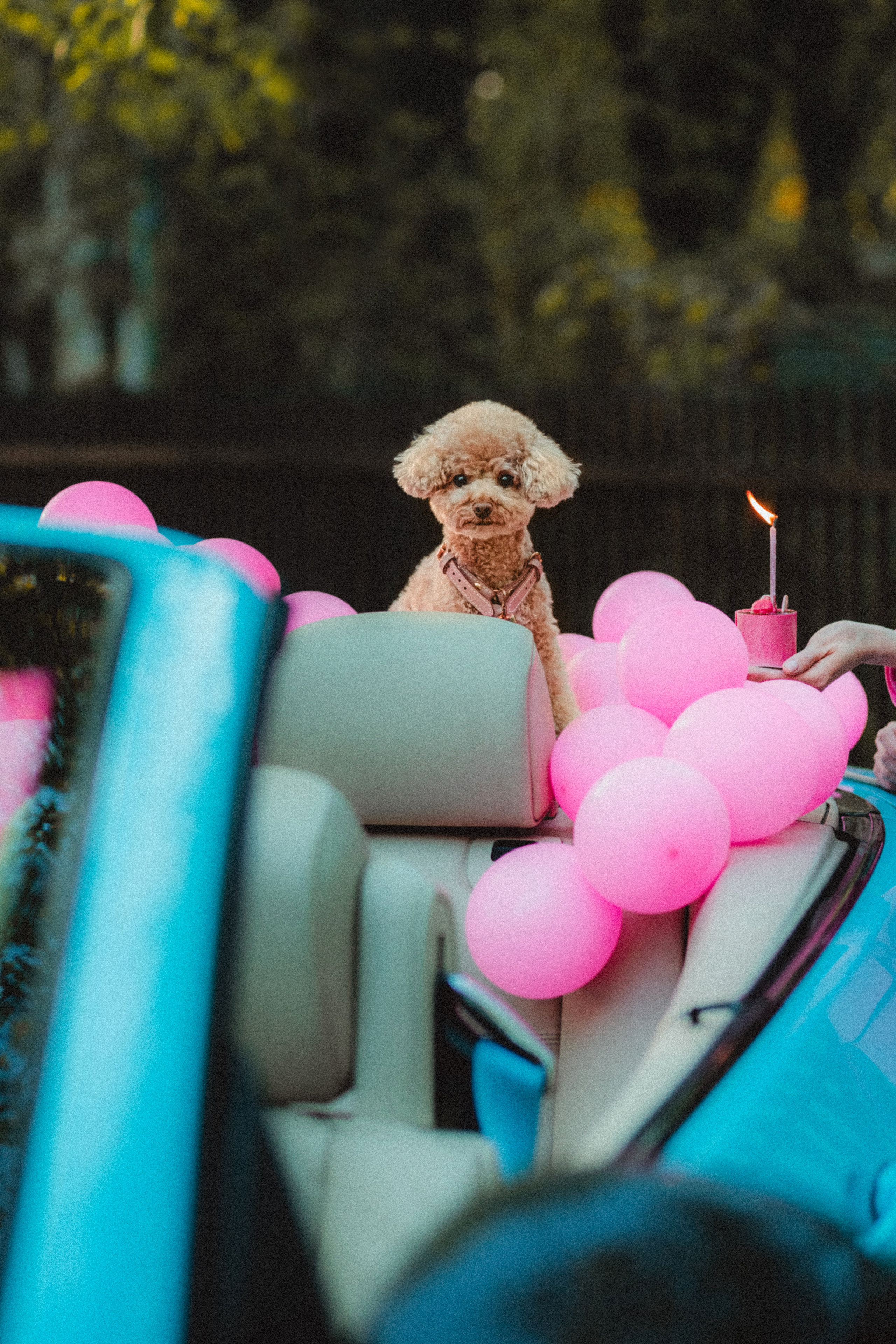 Даша и Глаша