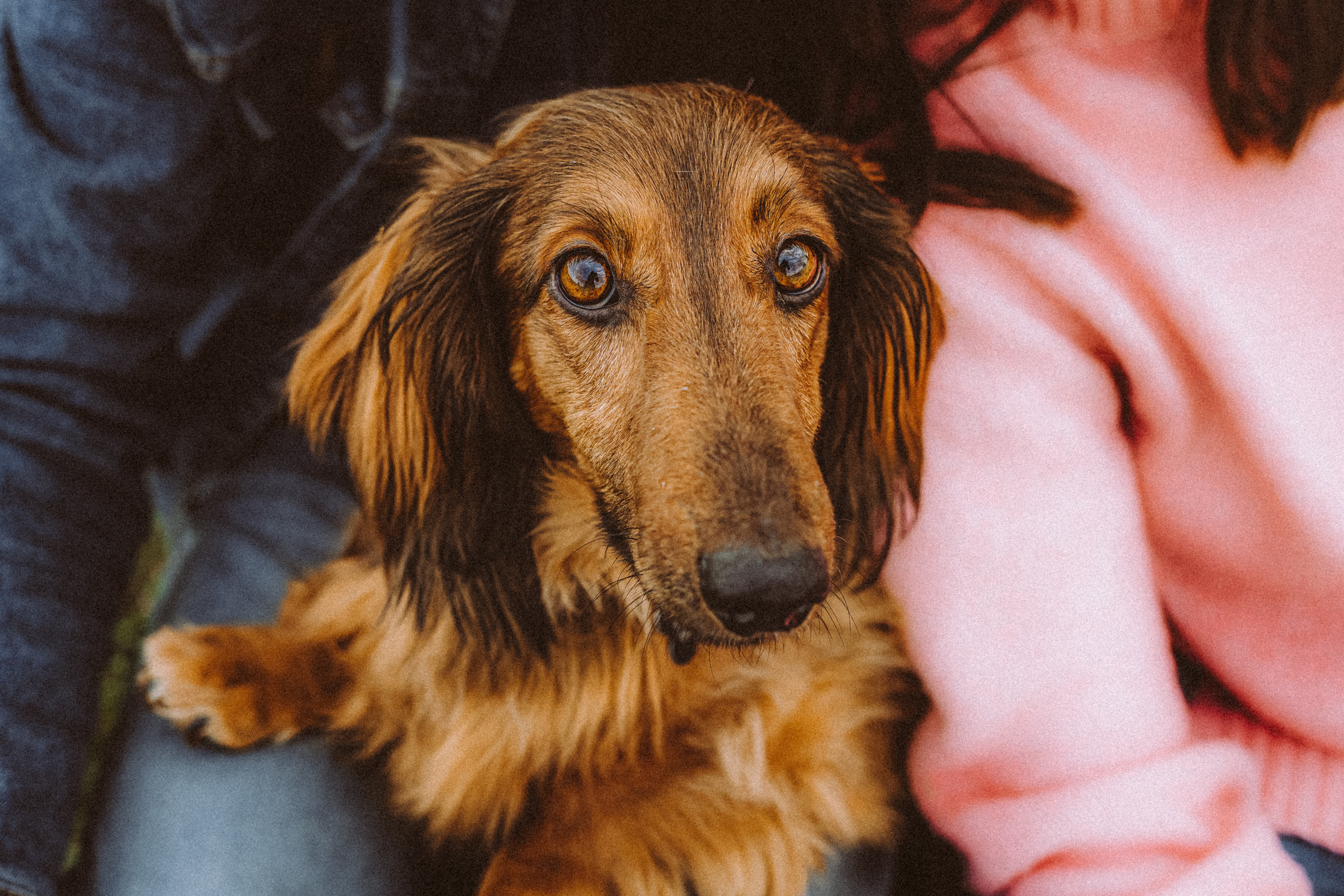 Джаз, Остин и их семья