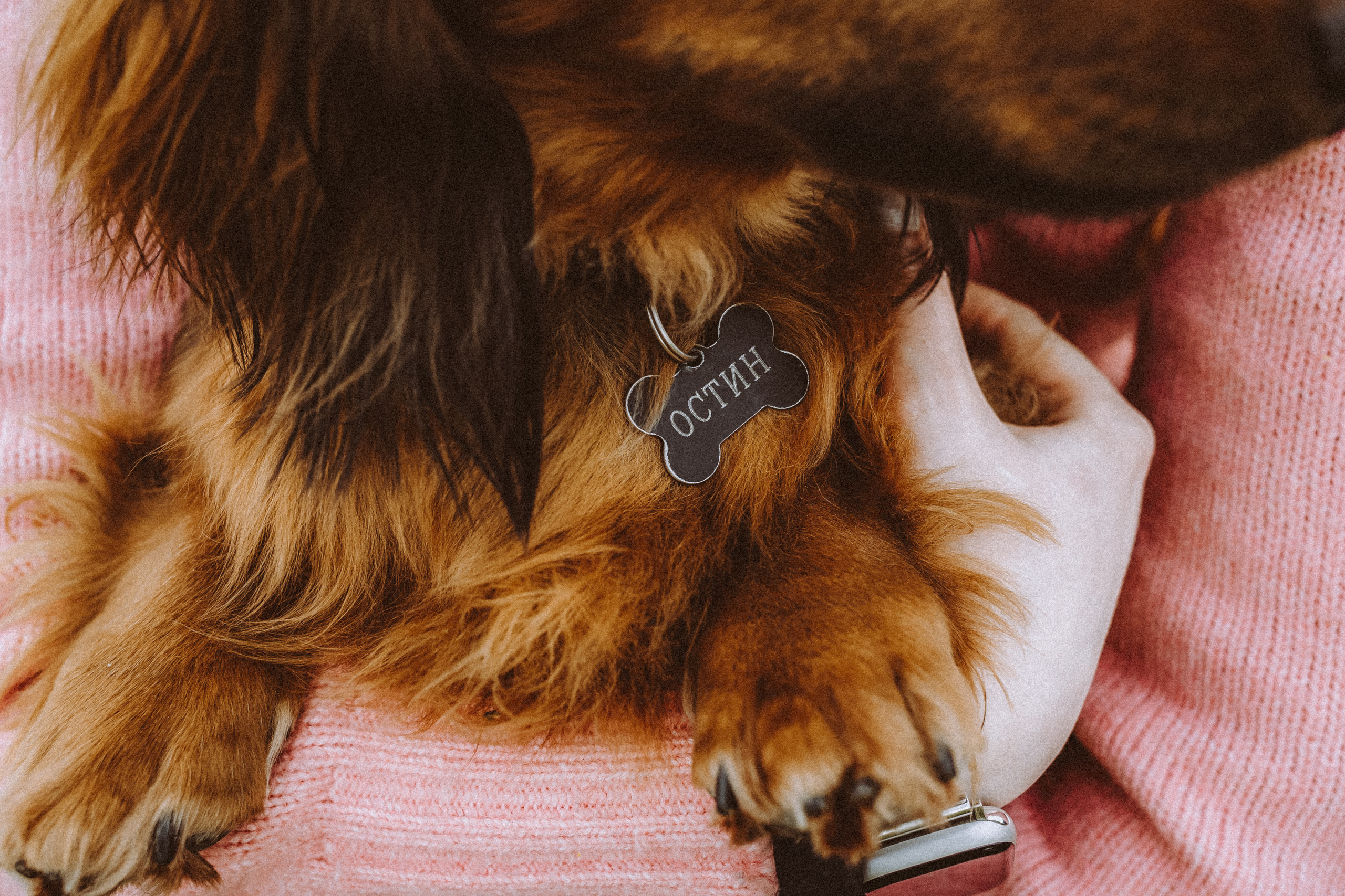 Джаз, Остин и их семья