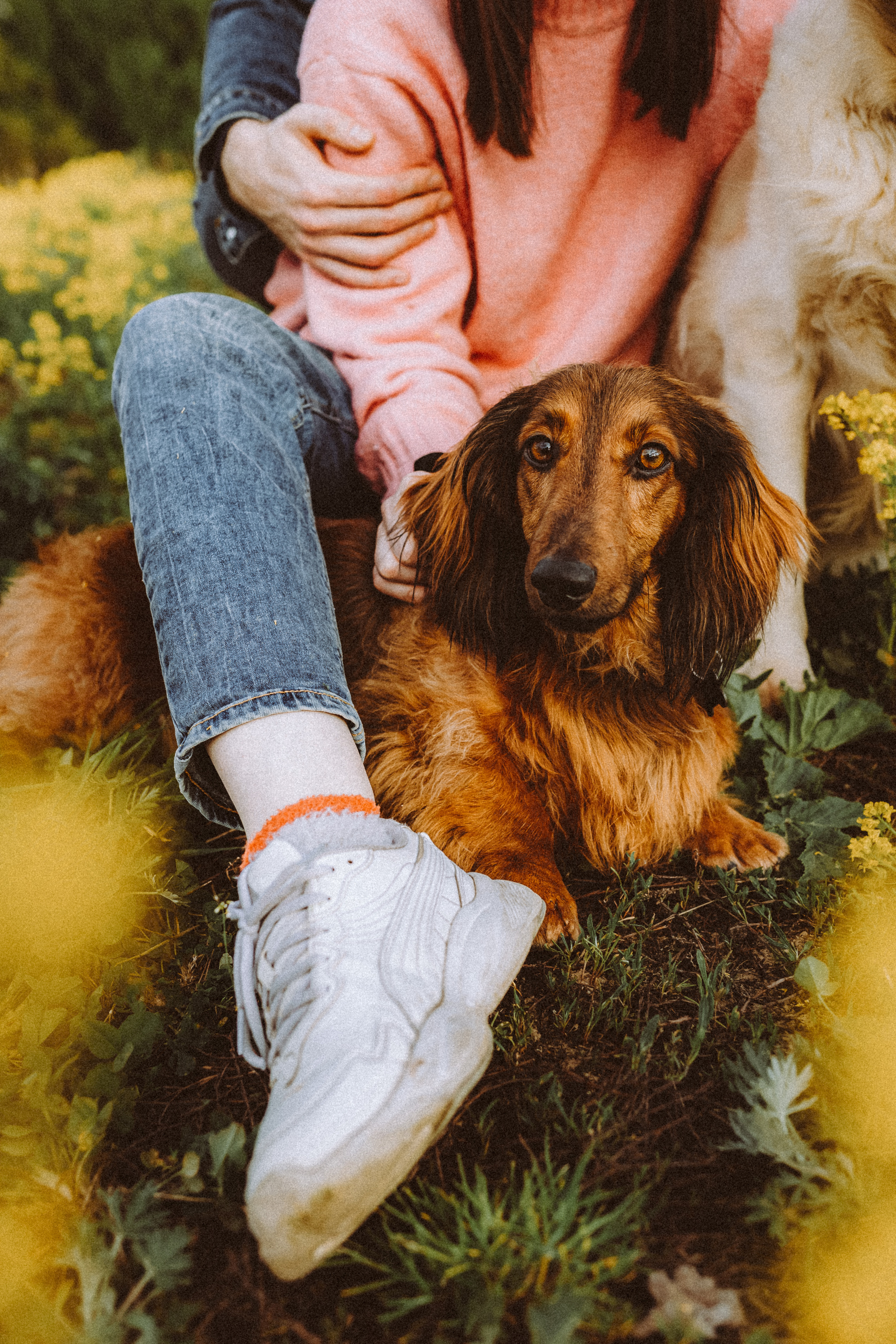 Джаз, Остин и их семья