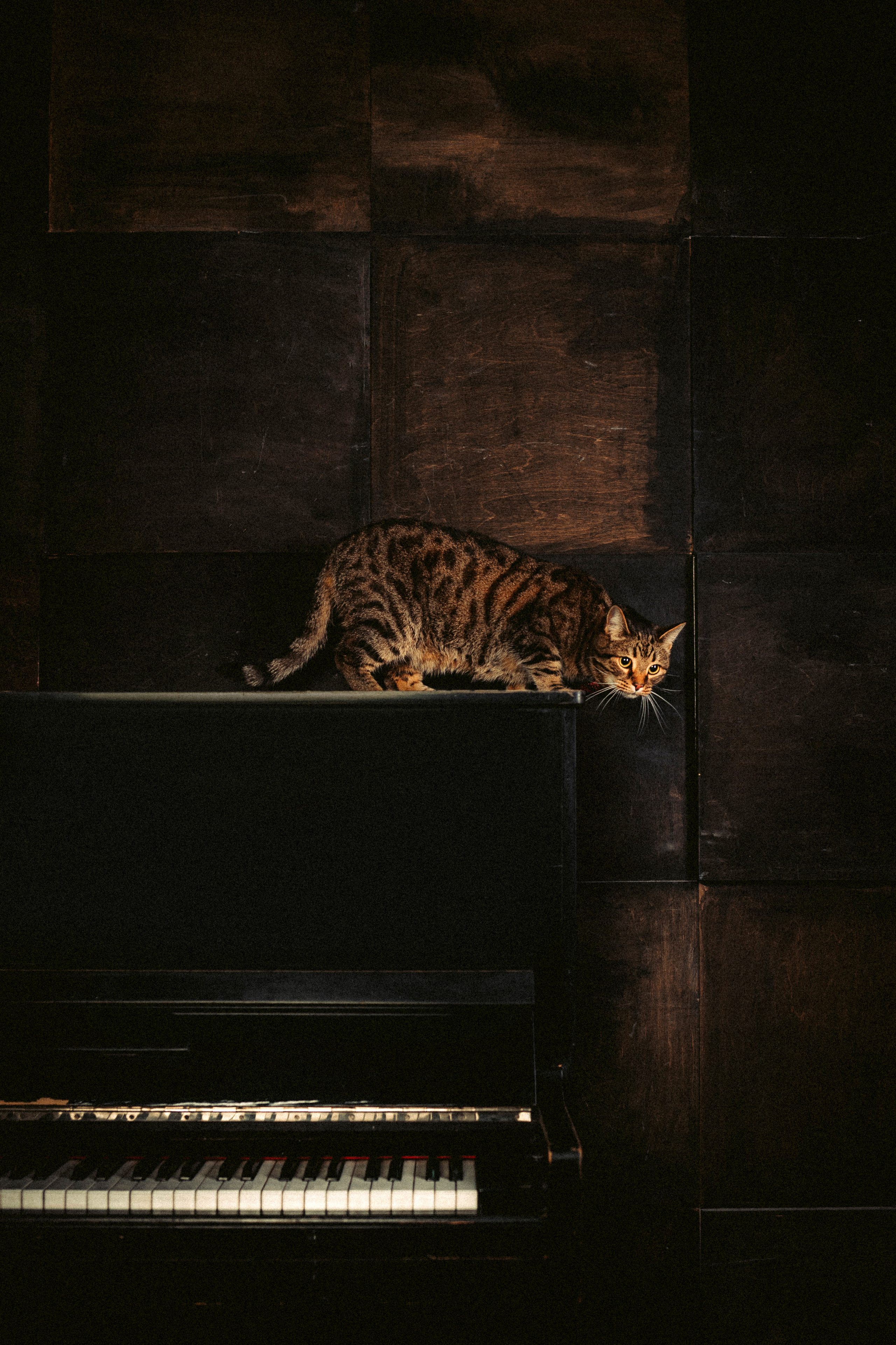 Вика, Вова и Клепа