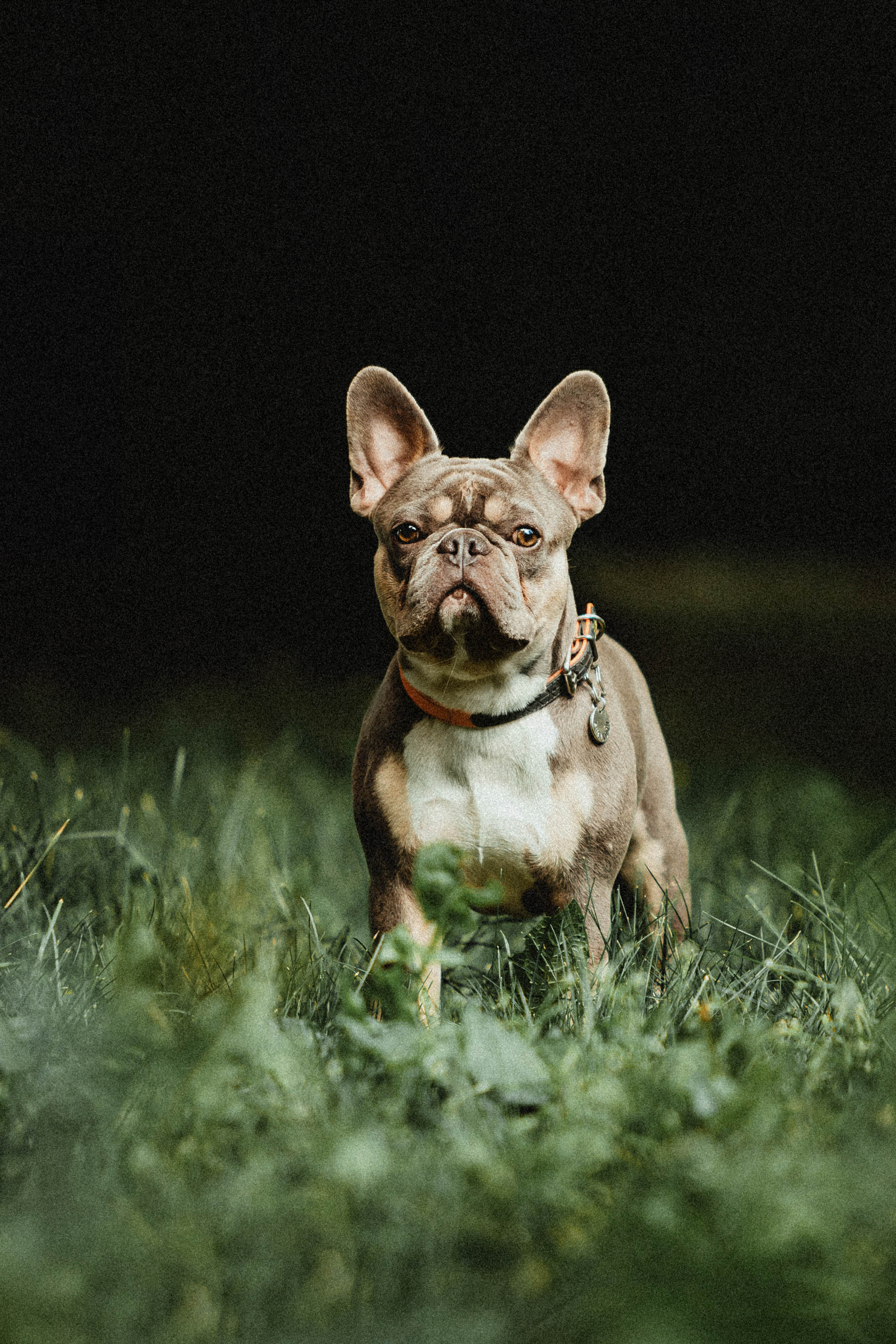 Регина, Сережа и Шелдон