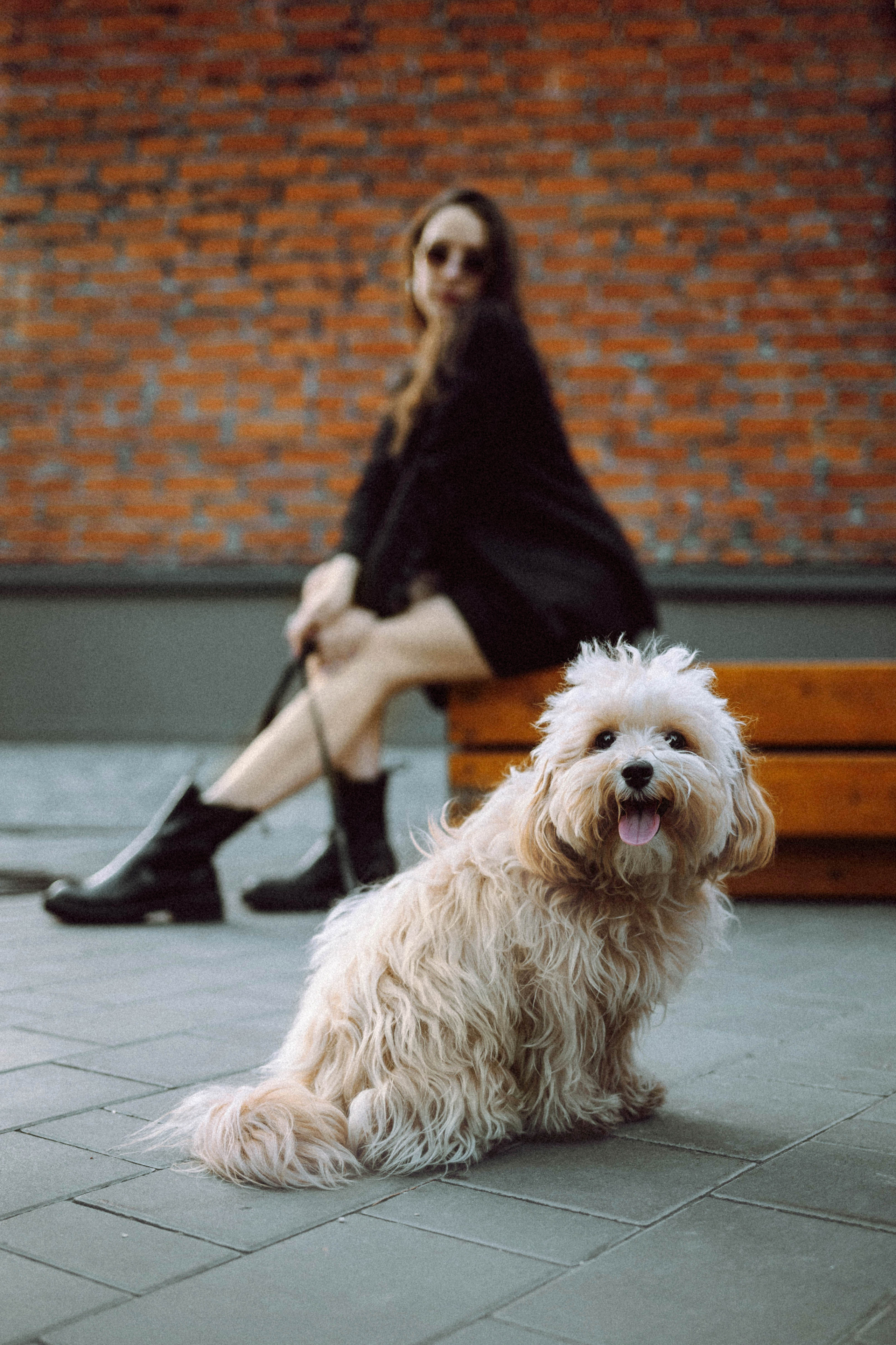 Настя и Симба