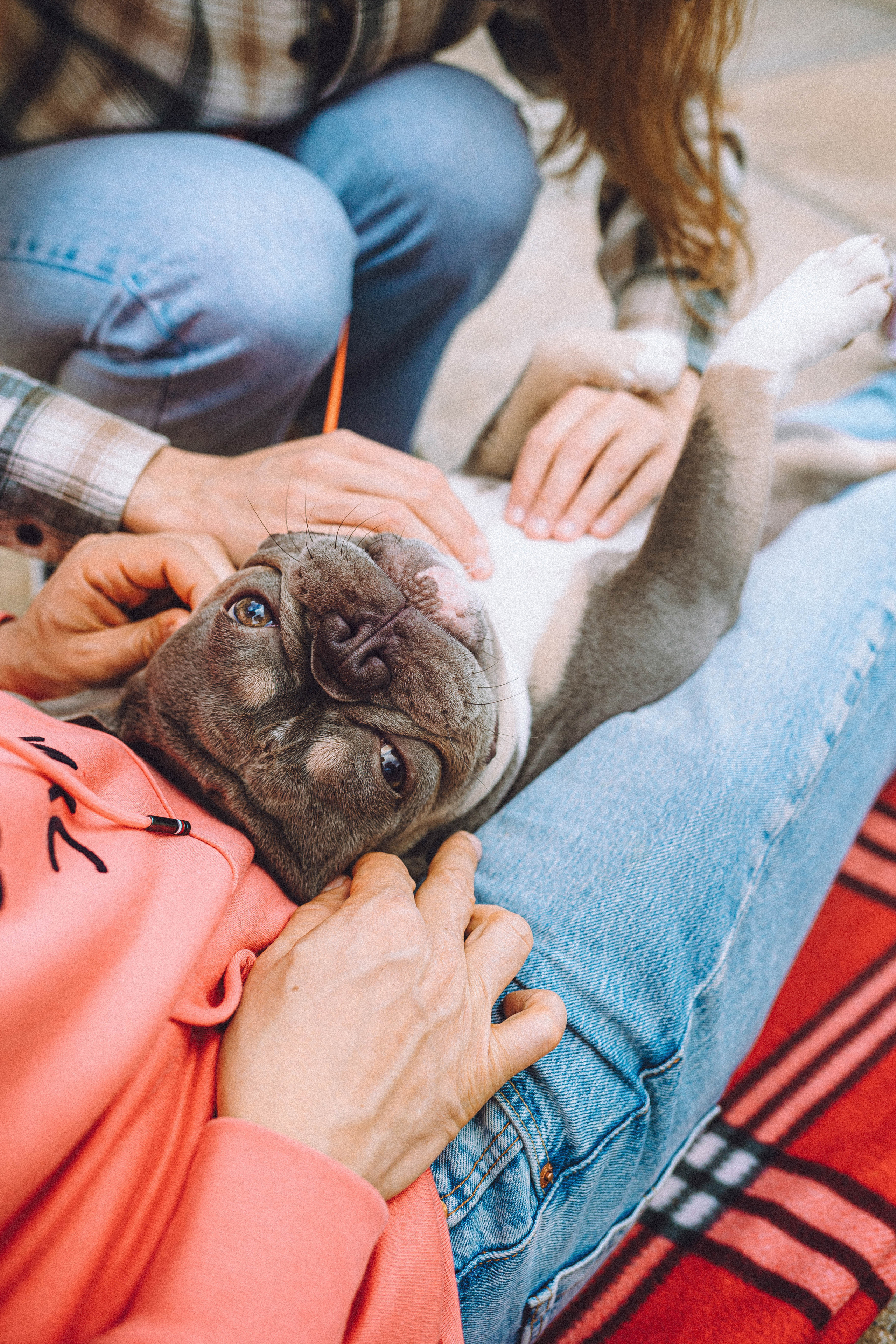 Регина, Сережа и Шелдон