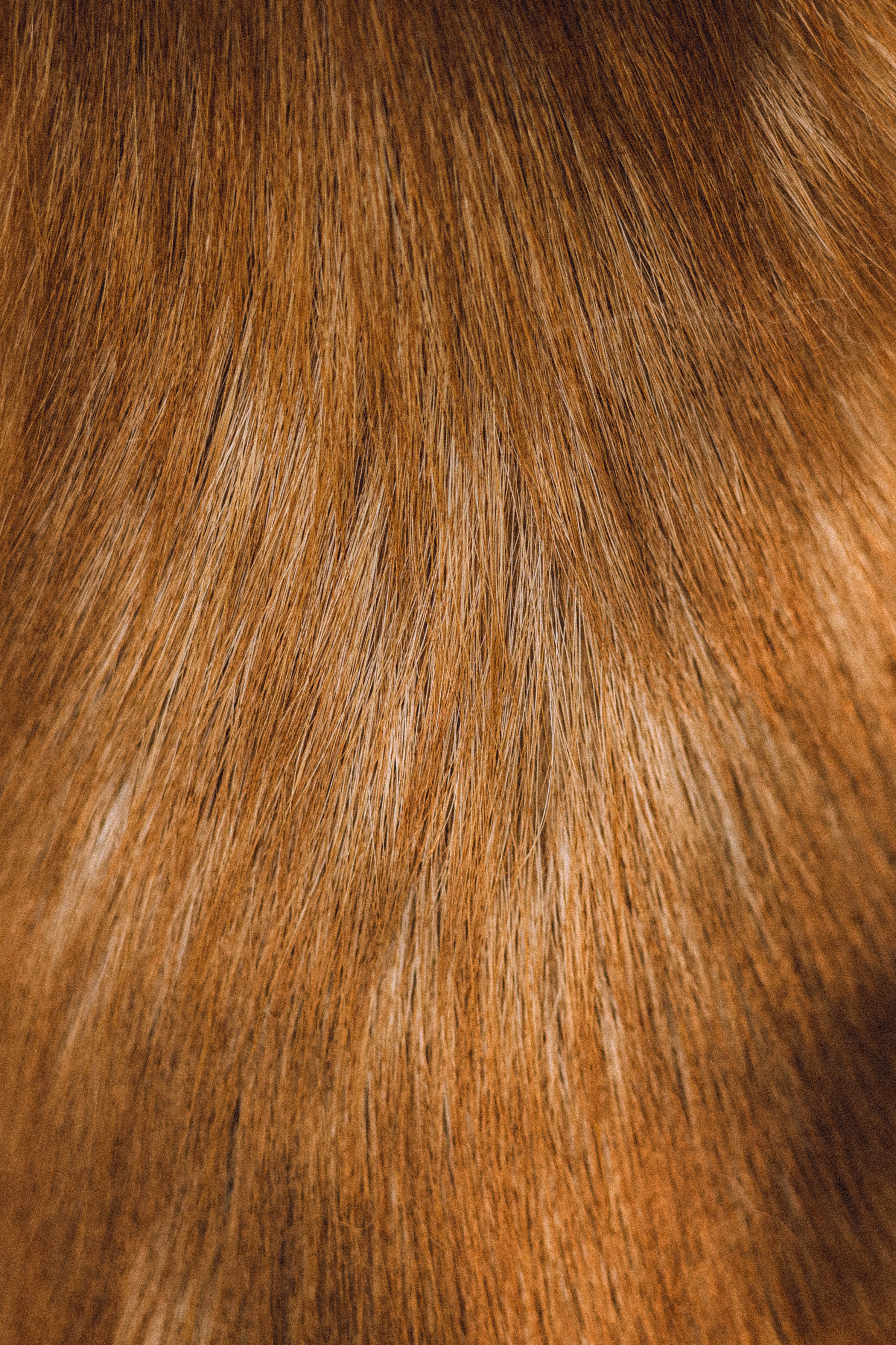 Ксюша, Андрей и Юки