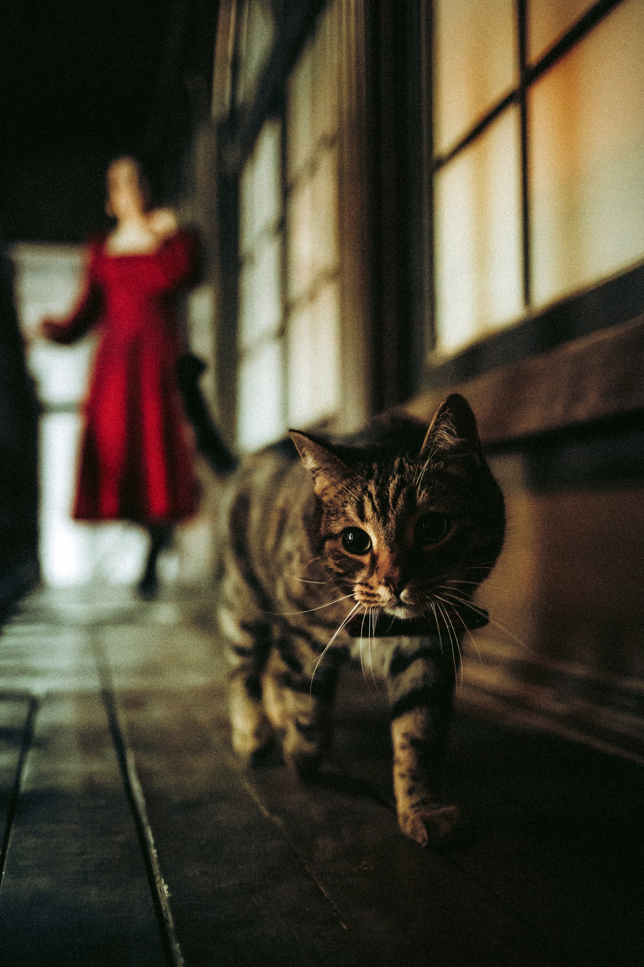 Вика, Вова и Клепа