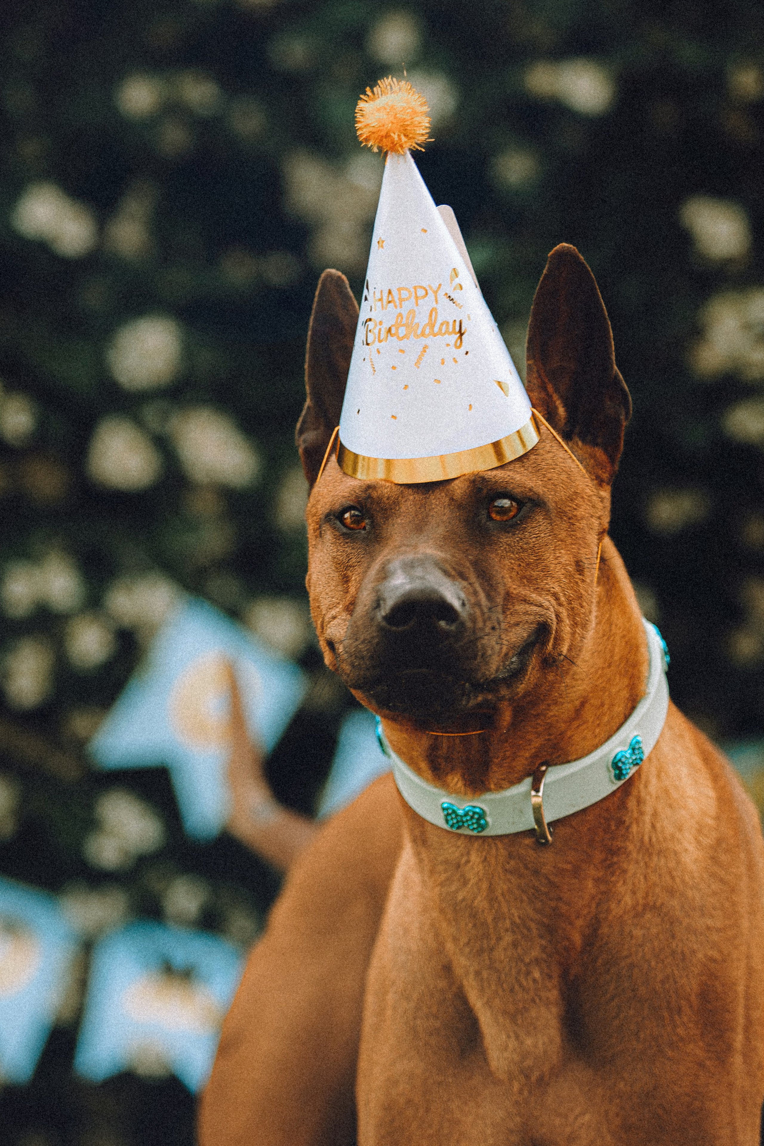 Оксана и Зевс