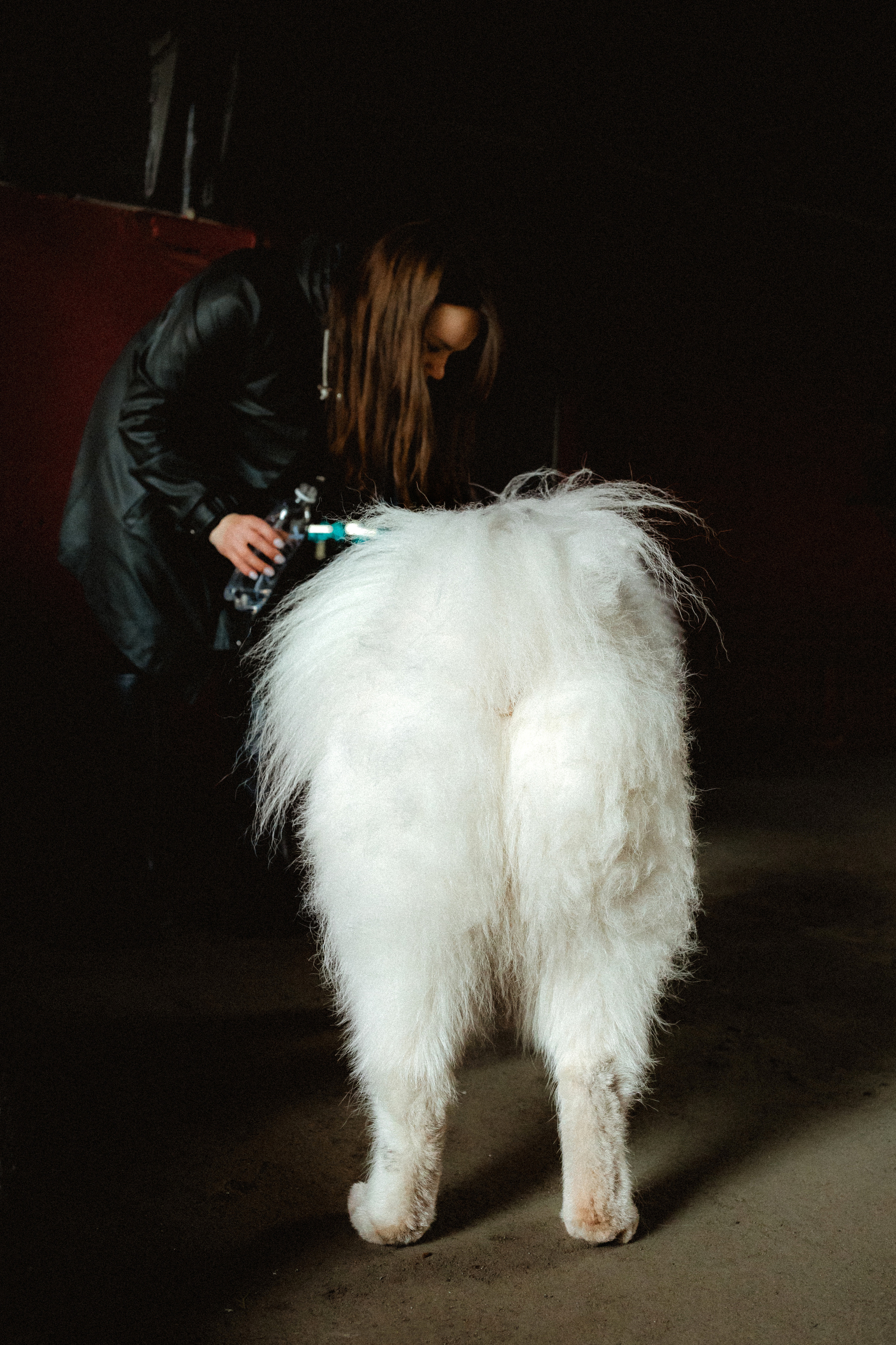 Вика и Балу