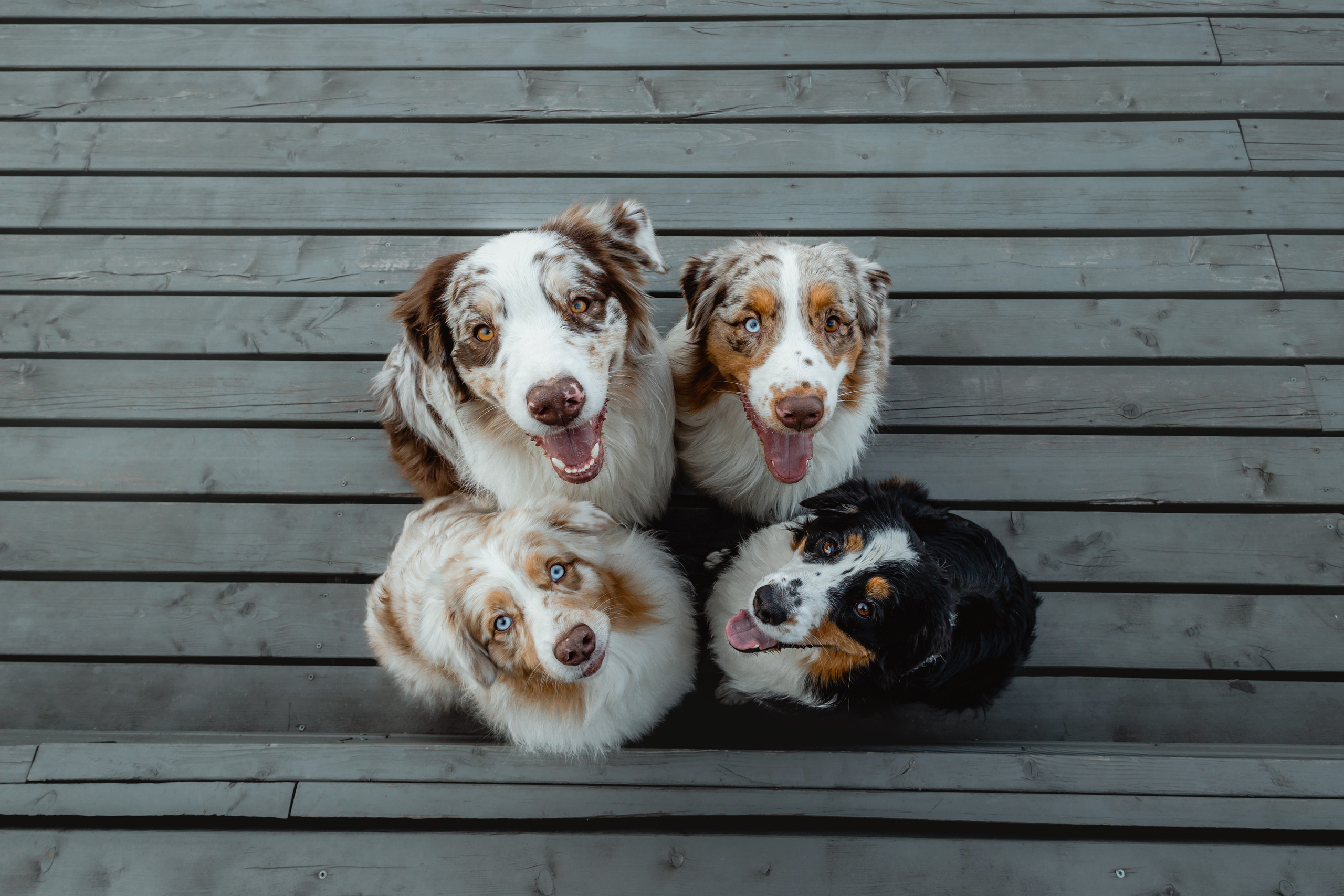 Маша и ее семья