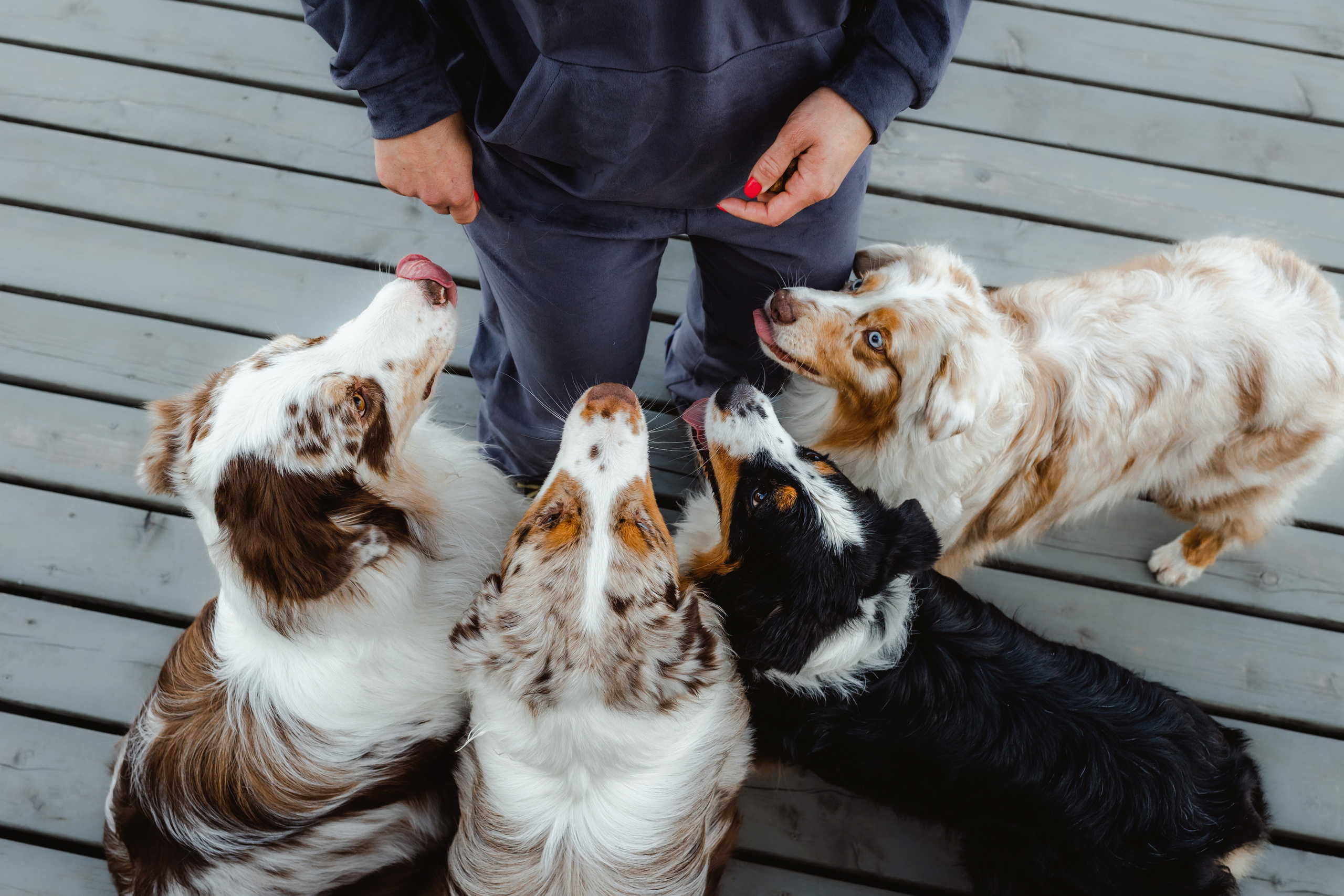 Маша и ее семья