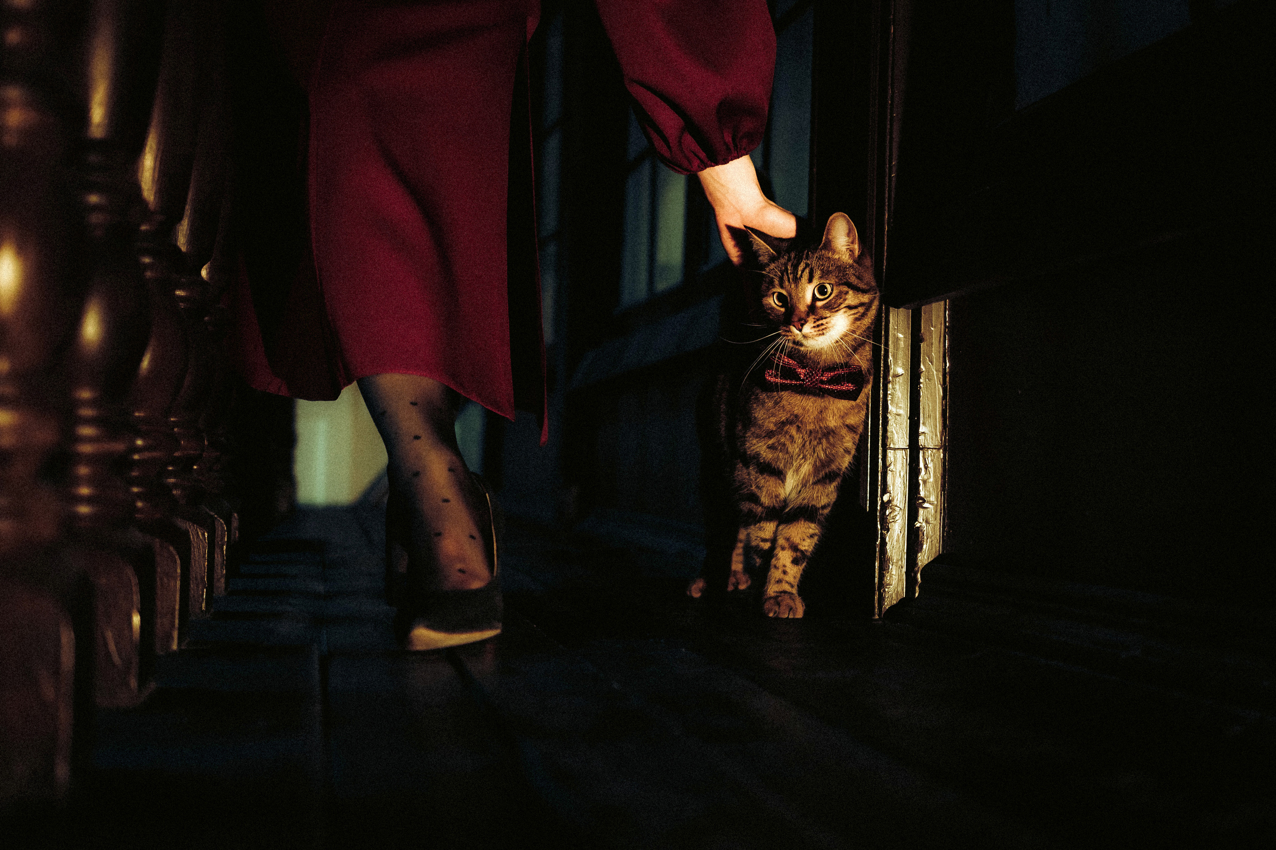 Вика, Вова и Клепа