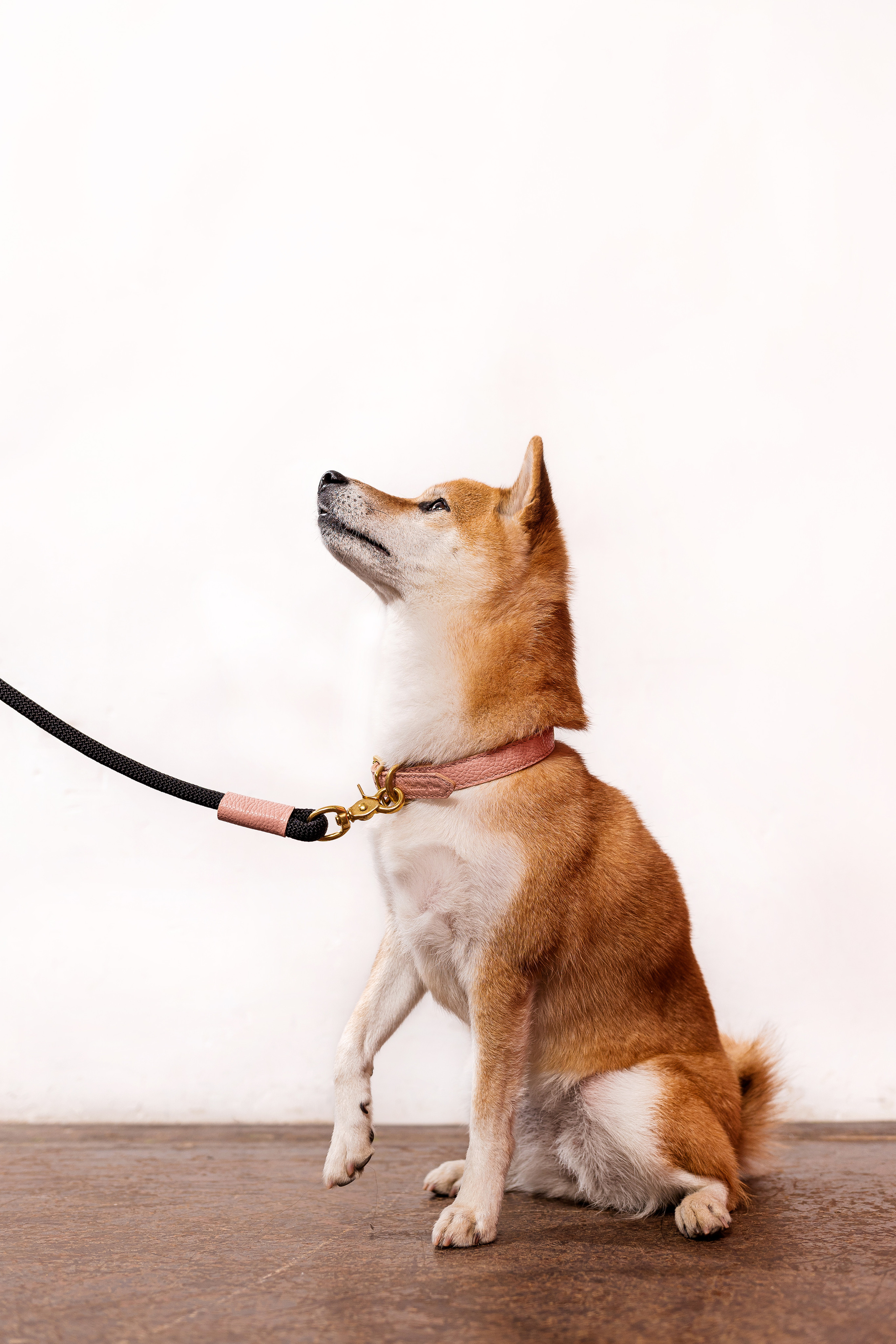 Съемка для MGM