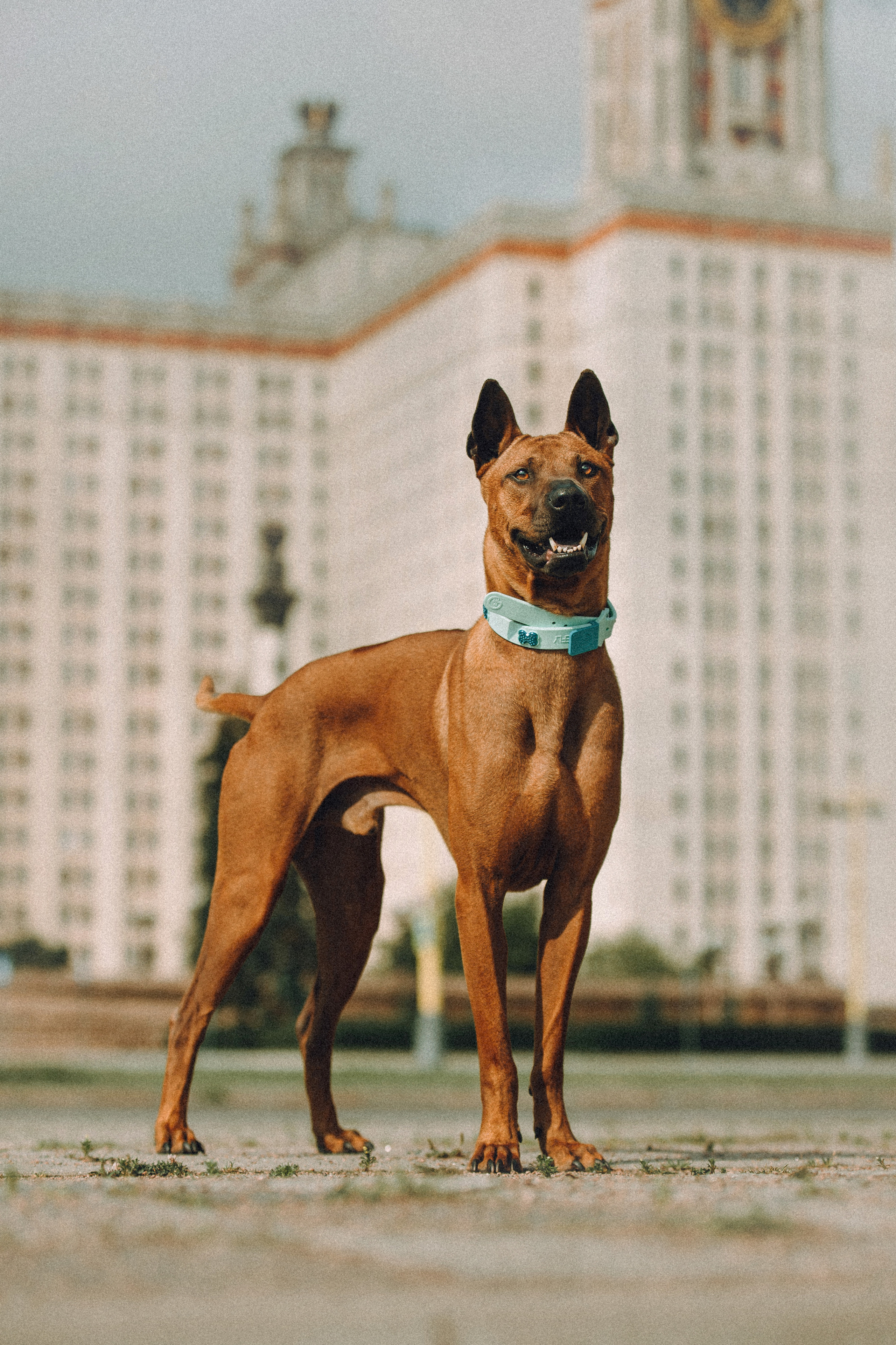 Оксана и Зевс