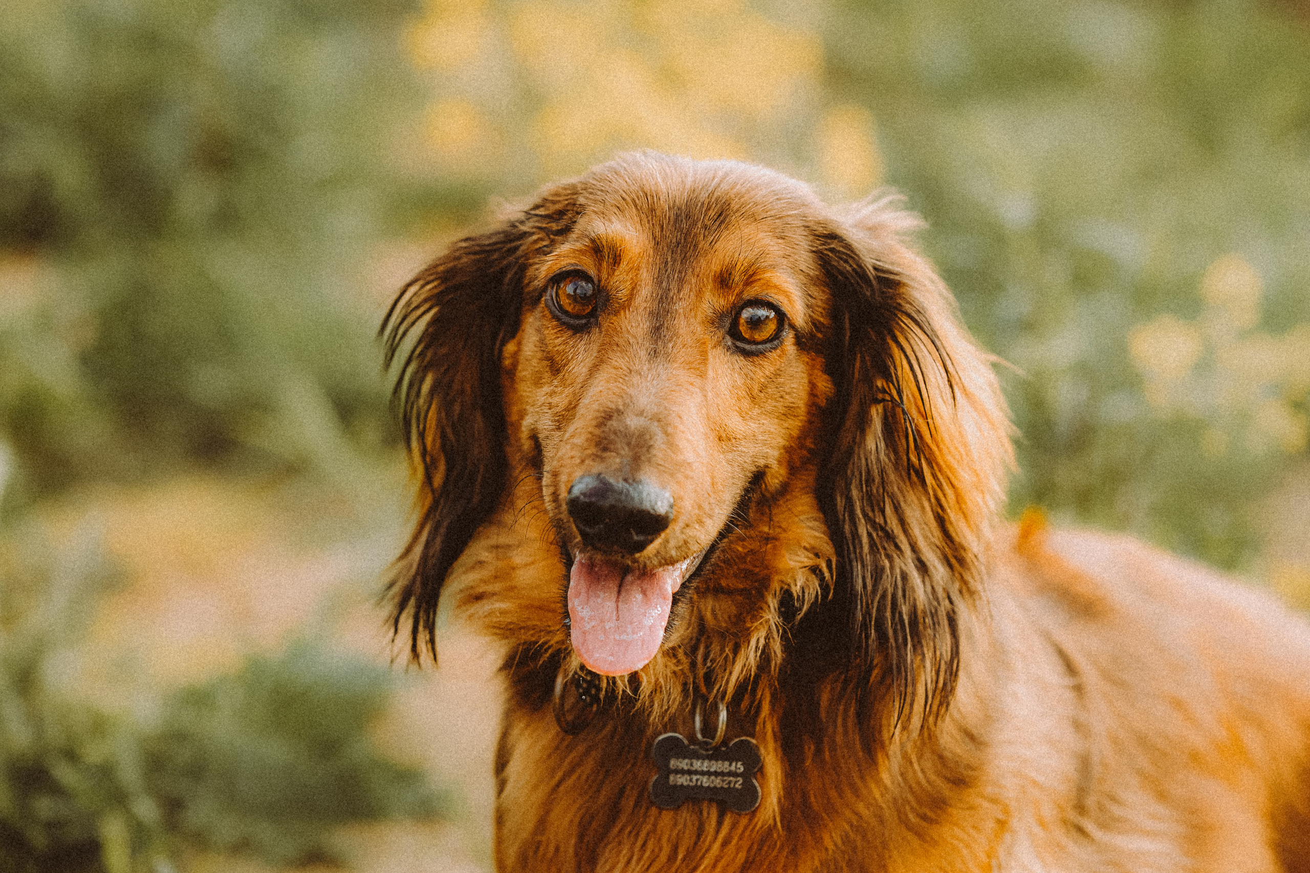 Джаз, Остин и их семья