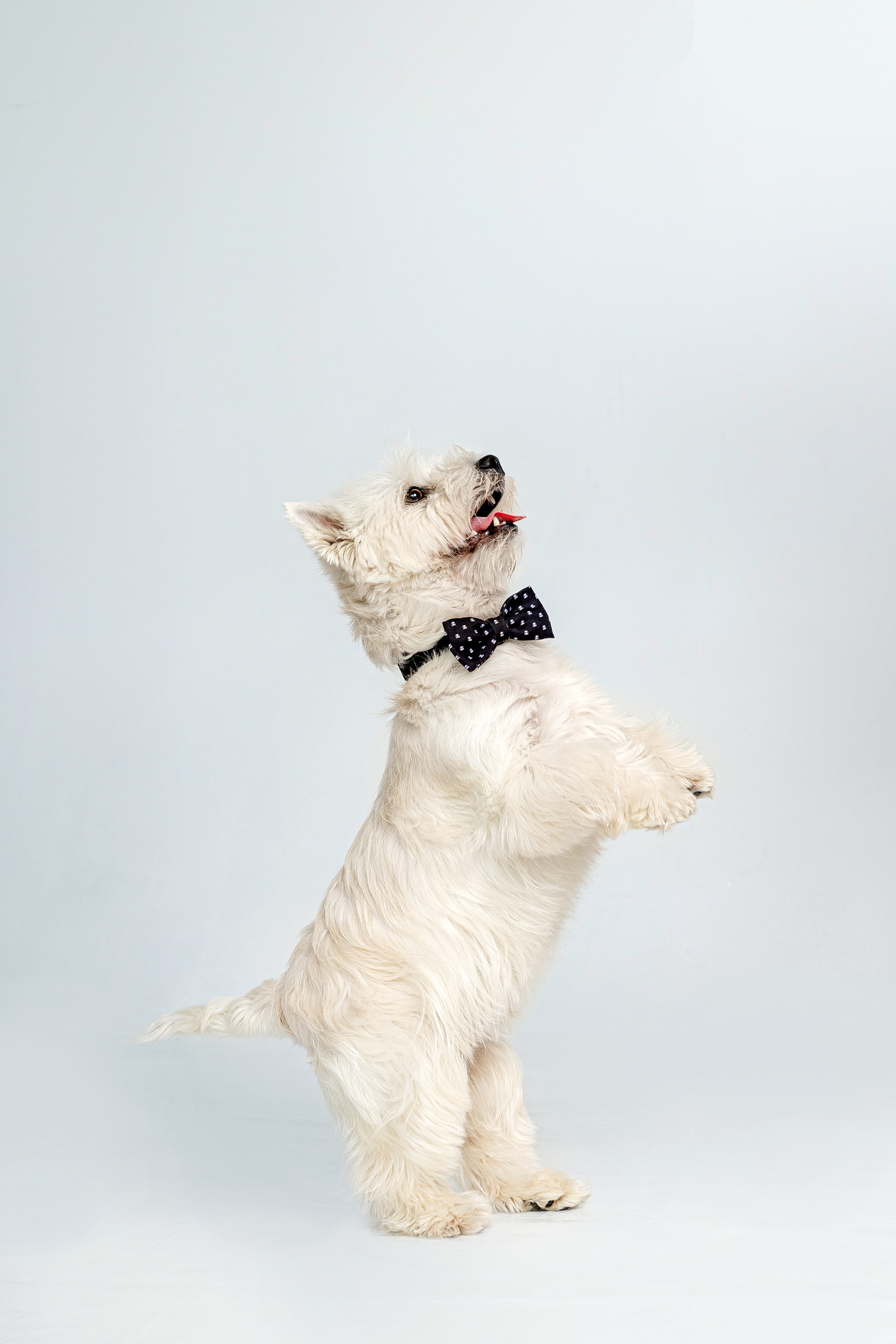 Вера и Бакс