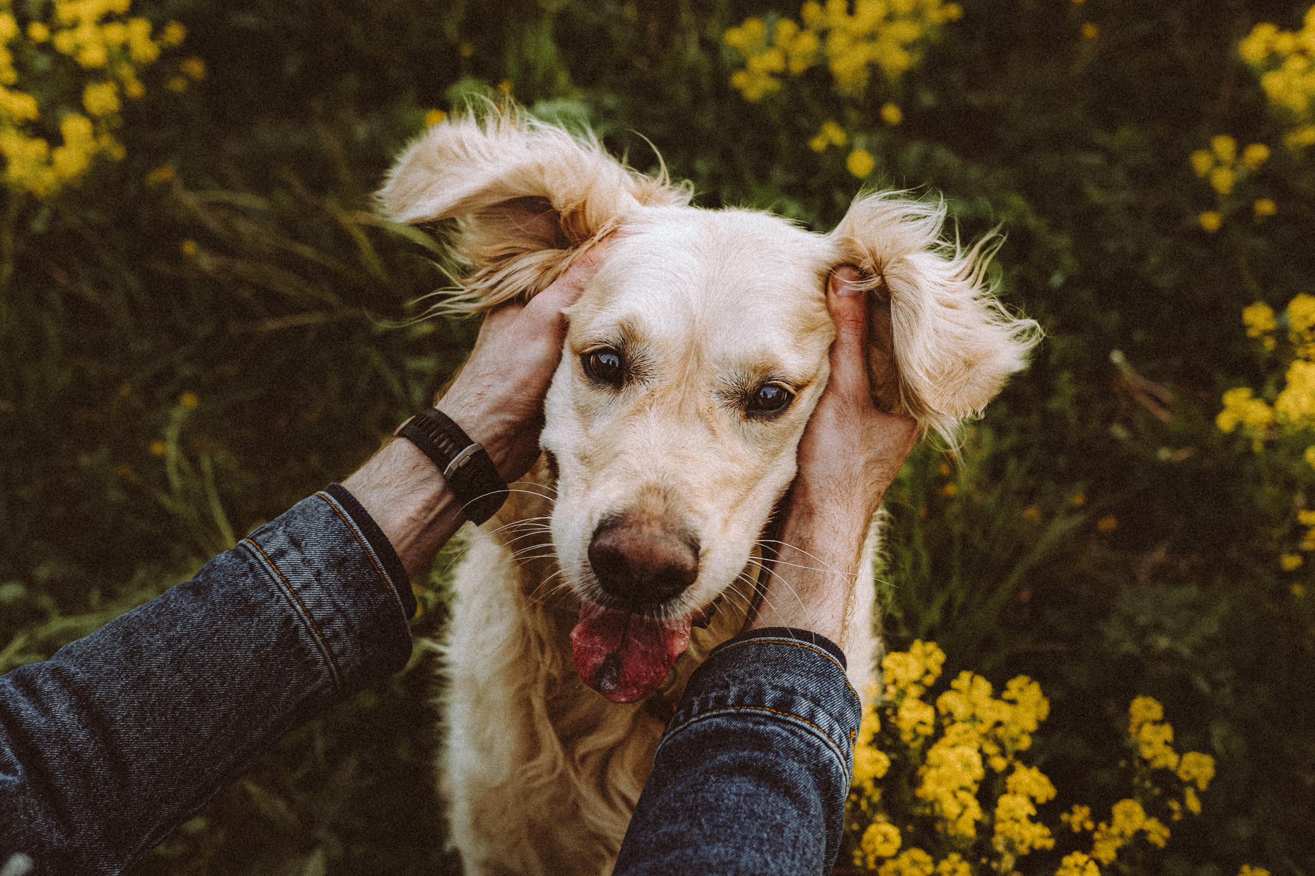 Джаз, Остин и их семья