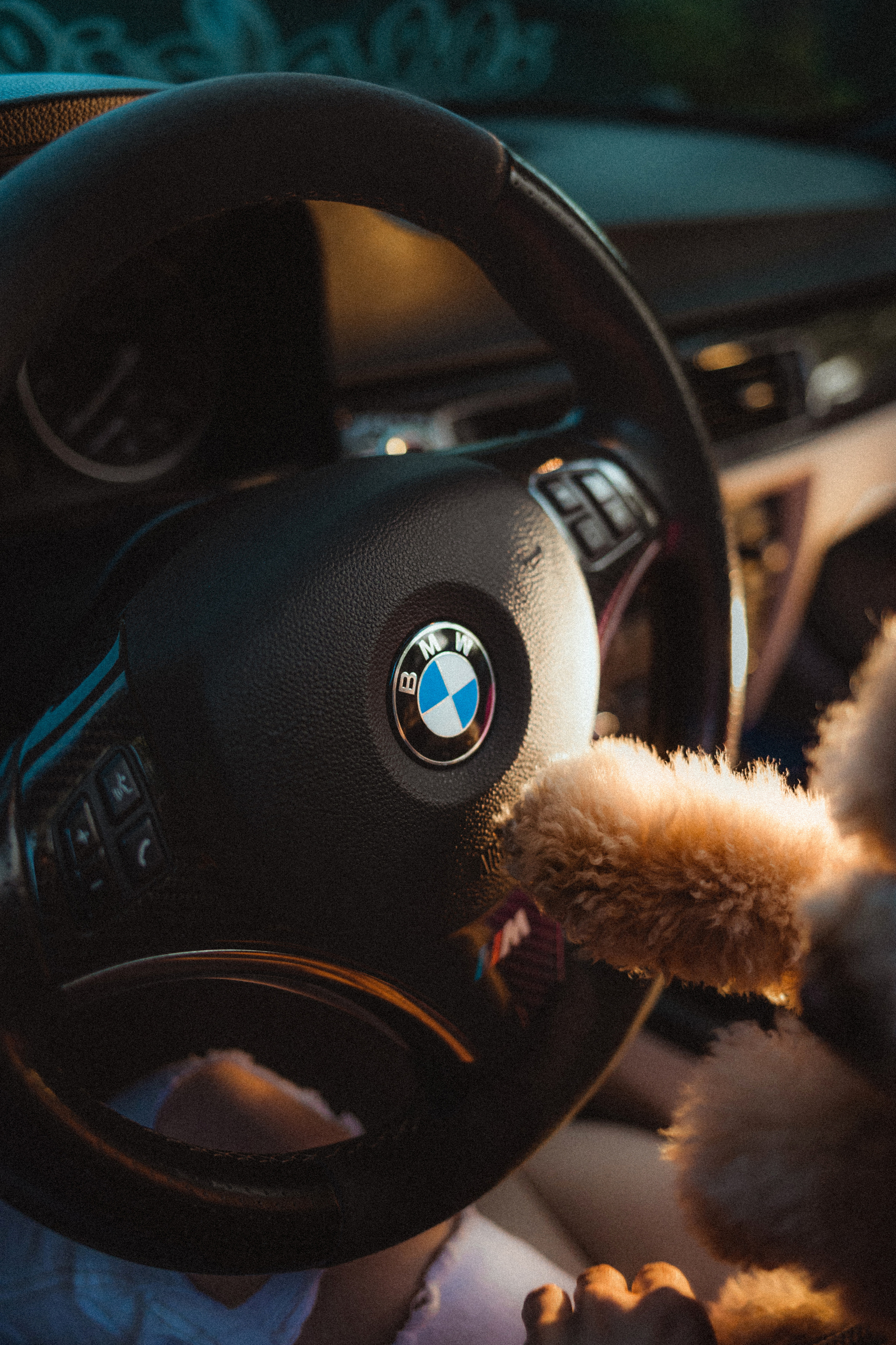 Даша и Глаша