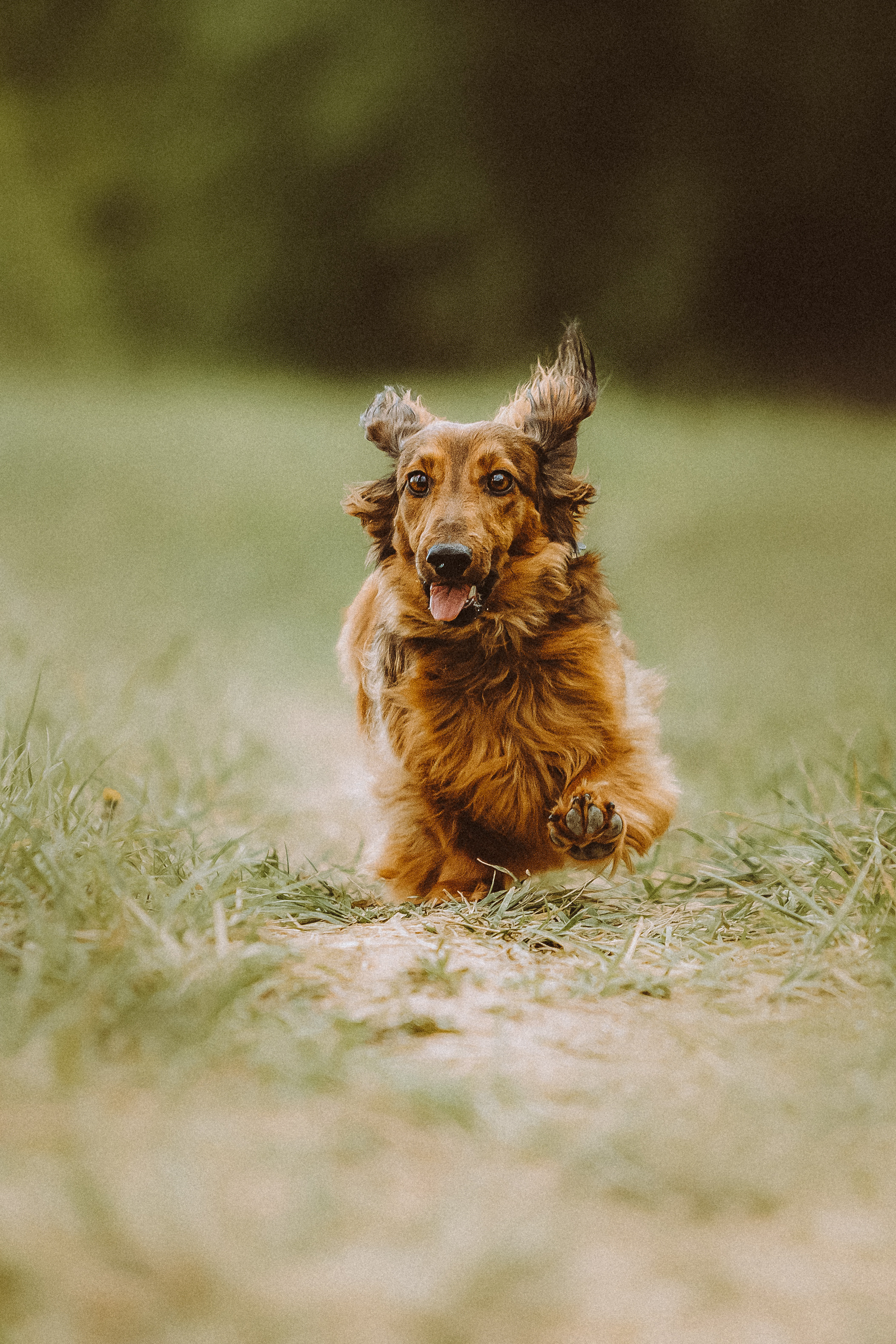 Джаз, Остин и их семья