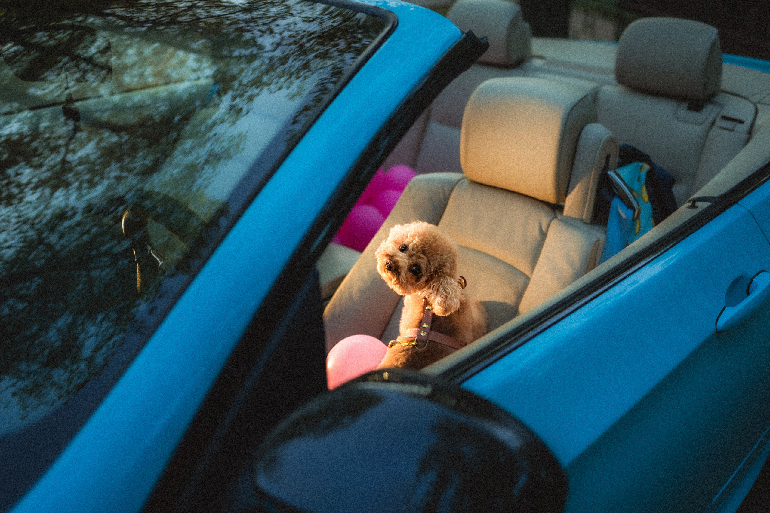 Даша и Глаша